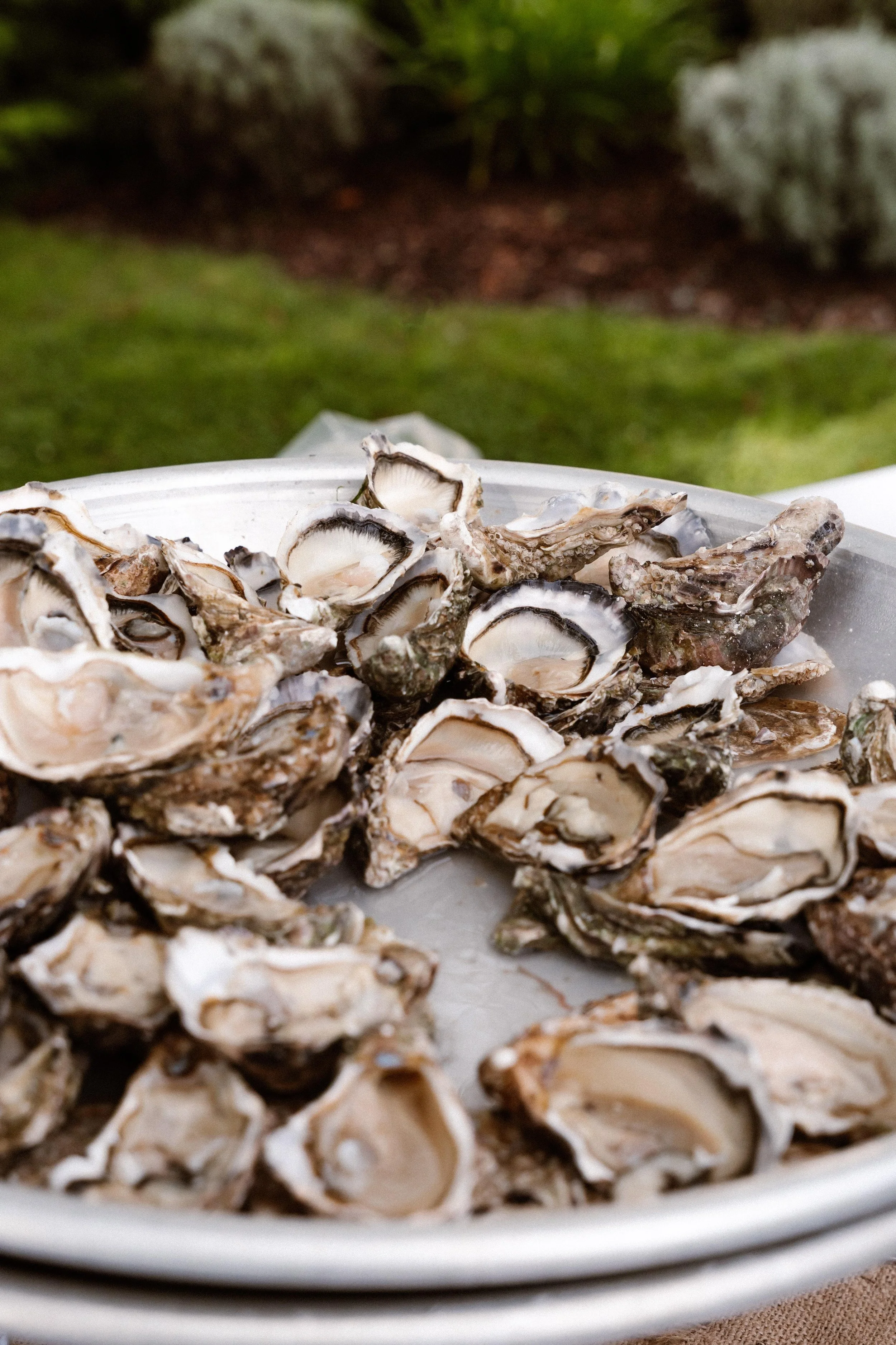 Weddings by Petra - Jacqueline & Travis 050.jpg