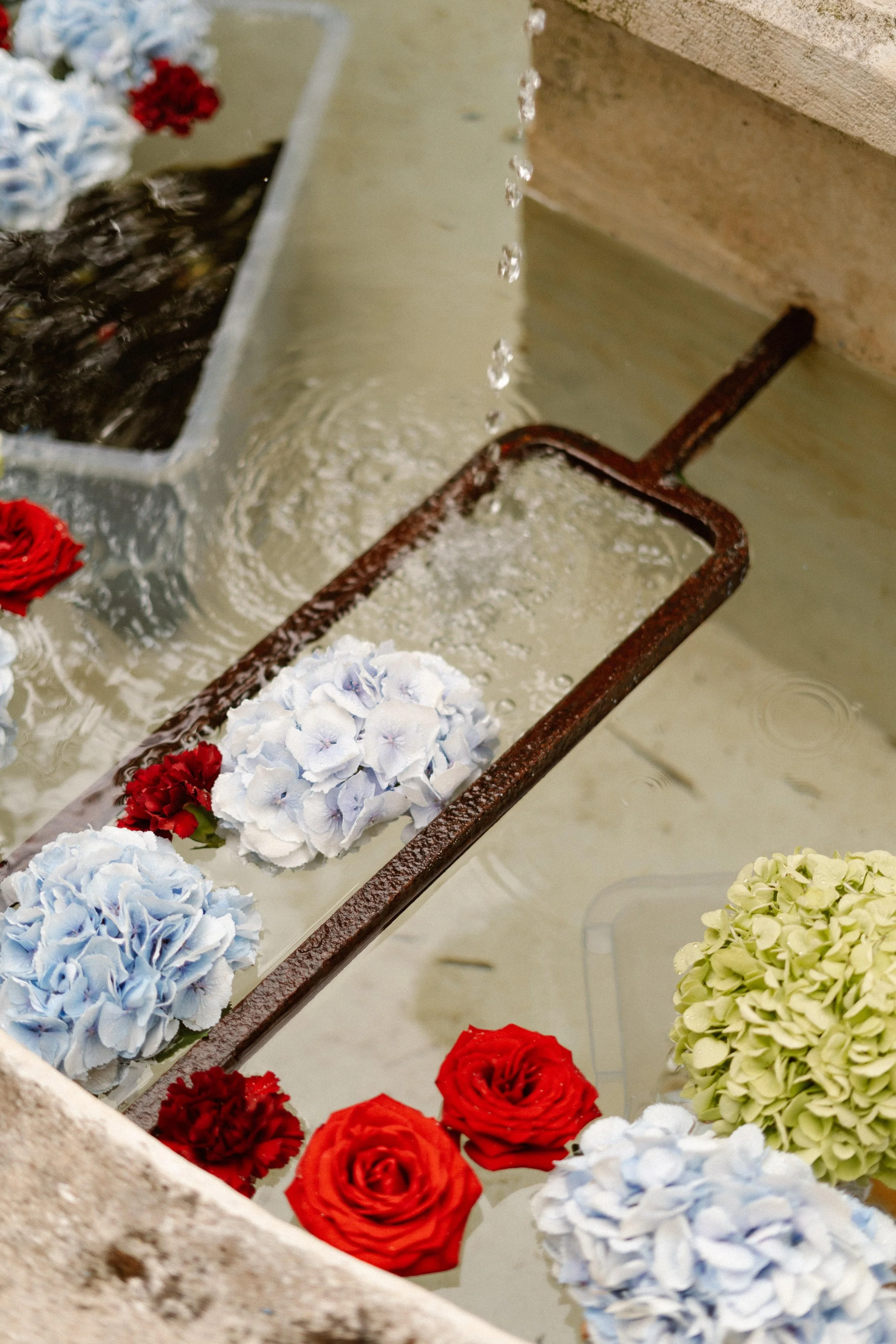 Weddings by Petra - Jacqueline & Travis 060.jpg