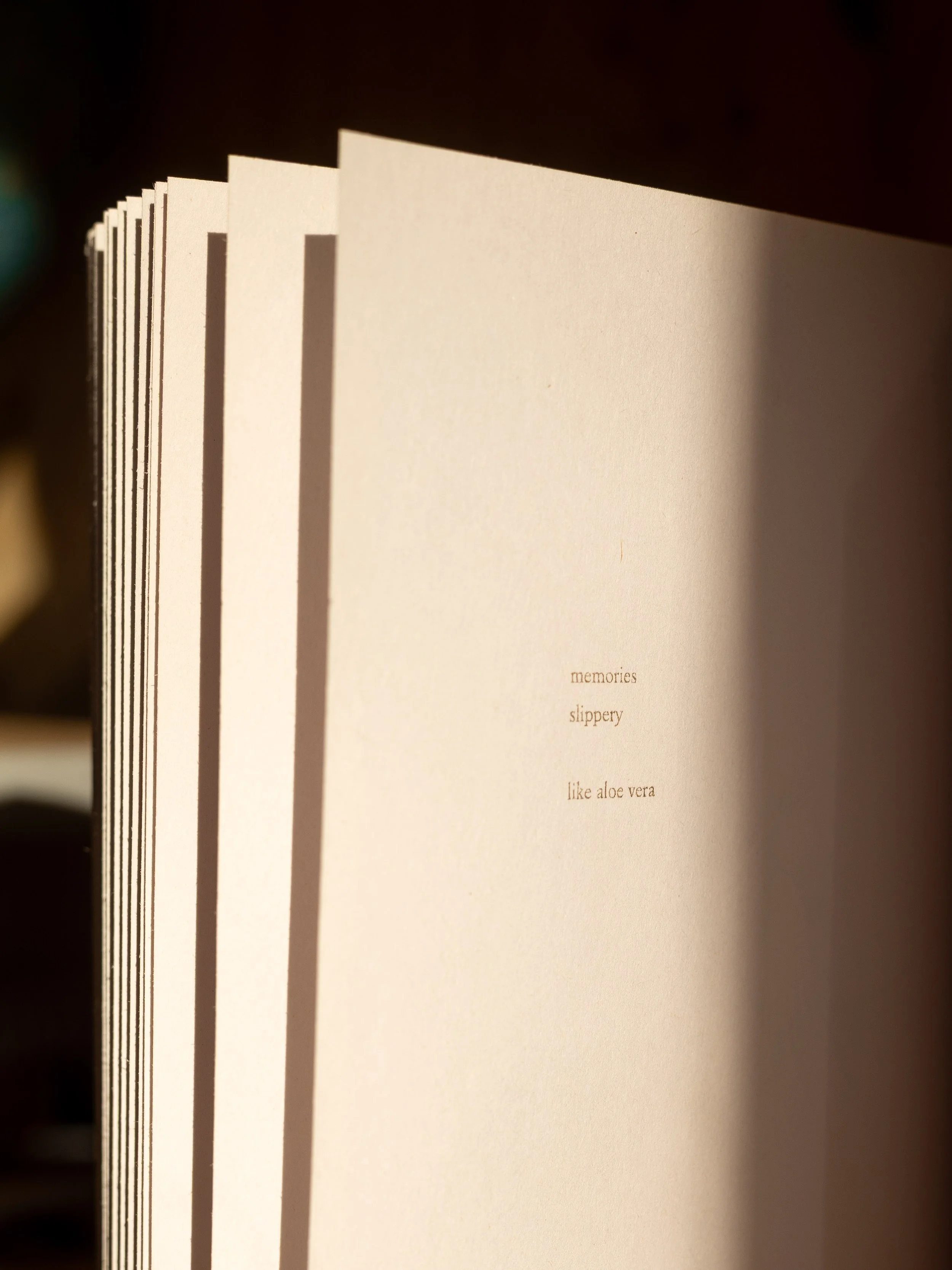 Moos Swings by Veronica Bruce, 2025