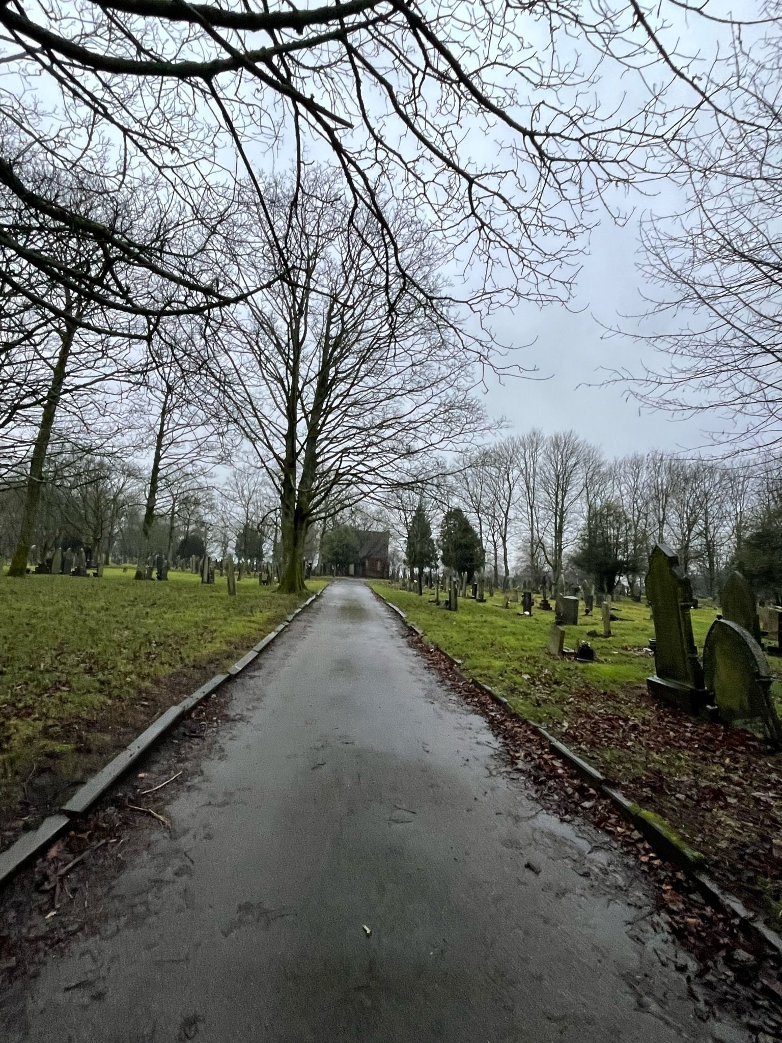 walk through.jpg