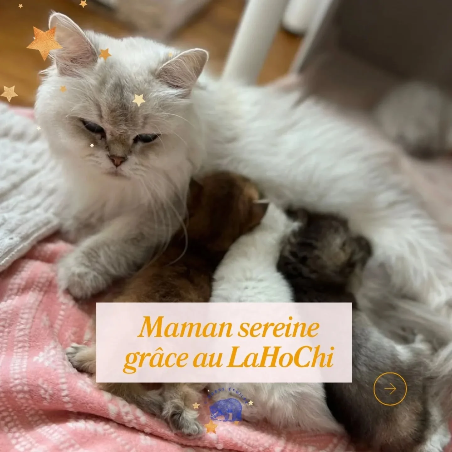 𝗨𝗻 𝘀𝗼𝗶𝗻 𝗟𝗮𝗛𝗼𝗖𝗵𝗶 𝗱'𝘂𝗿𝗴𝗲𝗻𝗰𝗲 𝗮𝗽𝗿𝗲̀𝘀 𝘂𝗻𝗲 𝗺𝗶𝘀𝗲 𝗯𝗮𝘀...

Je t'invite &agrave; d&eacute;couvrir le t&eacute;moignage de d'Anya la gardienne de Rosie.

Les soins &eacute;nerg&eacute;tiques comme le LaHoChi permettent de lib