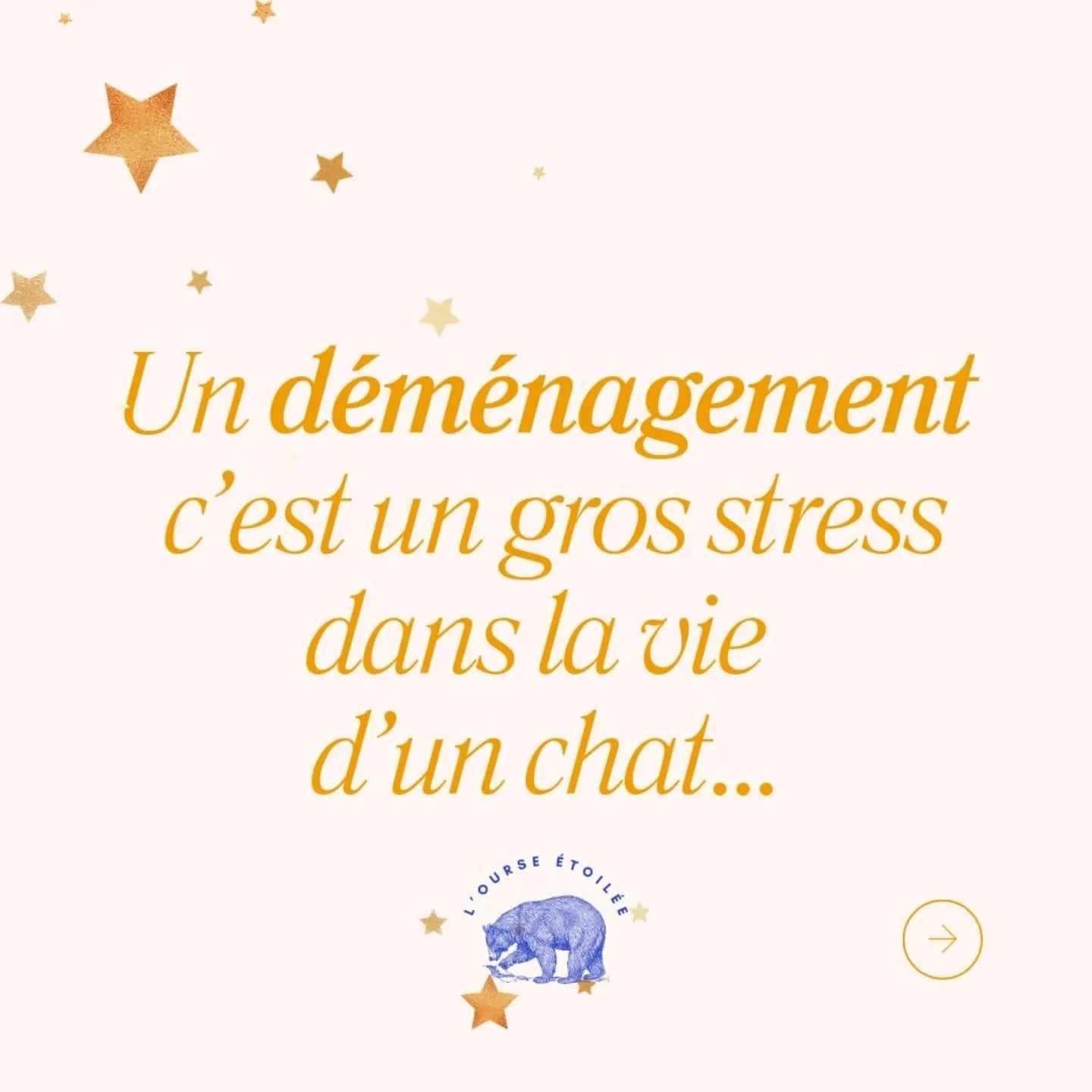 ☘️ Un d&eacute;m&eacute;nagement est un changement qui peut &ecirc;tre source de stress pour les animaux. Ce que j'aime particuli&egrave;rement dans les communications c'est de les aider &agrave; bien vivre cette p&eacute;riode. 

☘️ Pour que tout so
