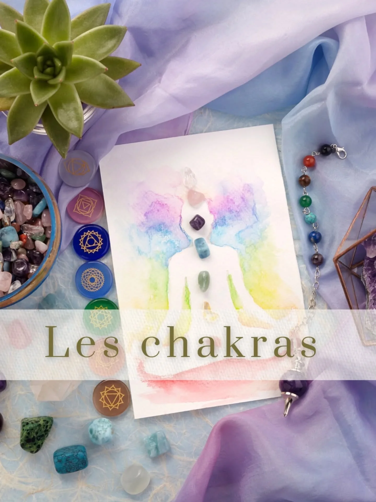 Sais tu que ton animal a 8 chakras ? 

Et oui ! Il y en a un que toi, tu n'as pas : le chakra brachial. 

C'est par lui qu'il ressent votre lien. 

Dans ce carrousel d&eacute;couvre :
&bull; les 8 chakras de ton animal, 
&bull; celui que je r&eacute;