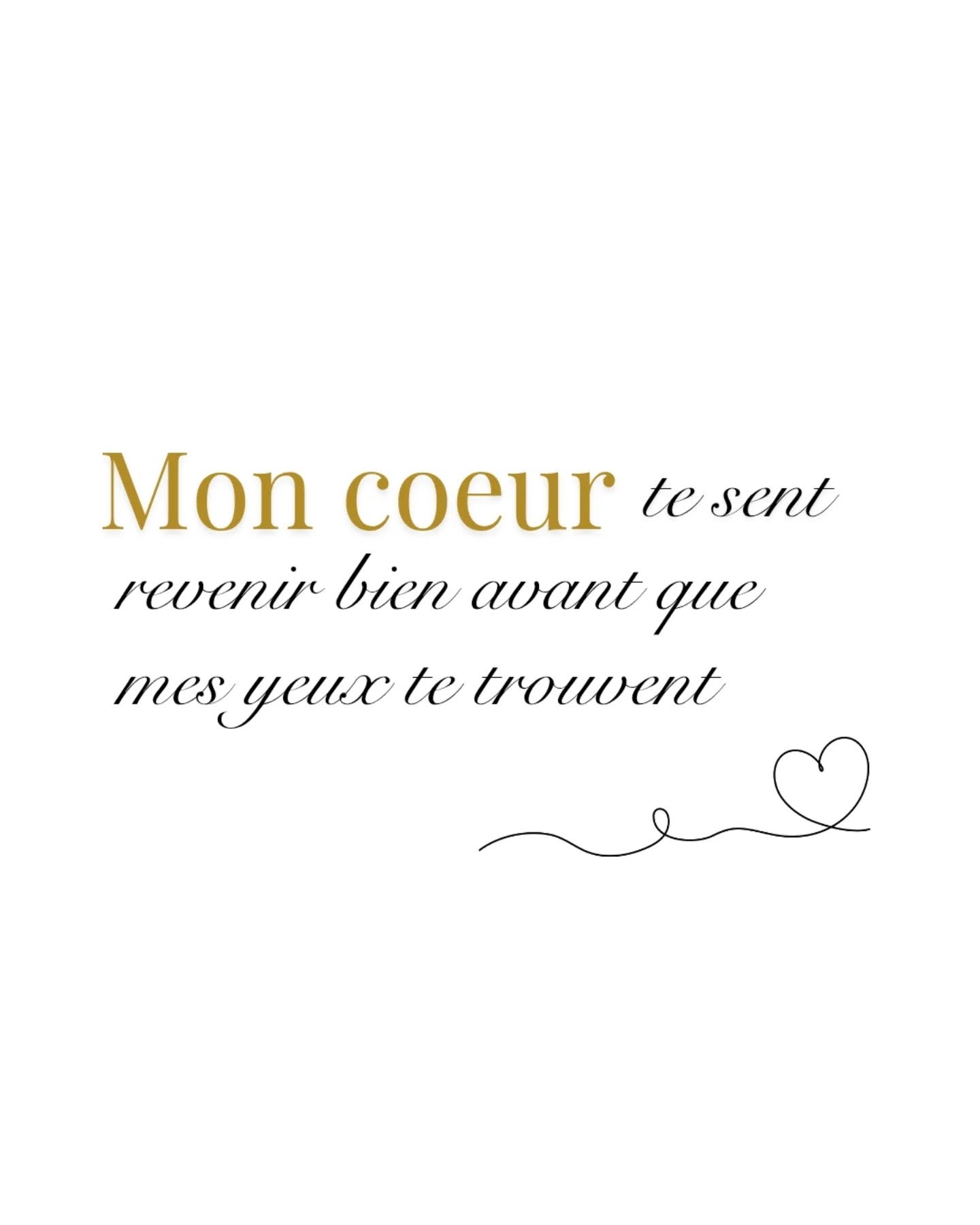 Mon c&oelig;ur te sent revenir bien avant que mes yeux te trouvent 💫

Tu es peut-&ecirc;tre encore dans les transports, au travail, en chemin... mais ton animal, lui, sait d&eacute;j&agrave;.

Il capte l'&eacute;cho de ton &eacute;nergie, ressent le