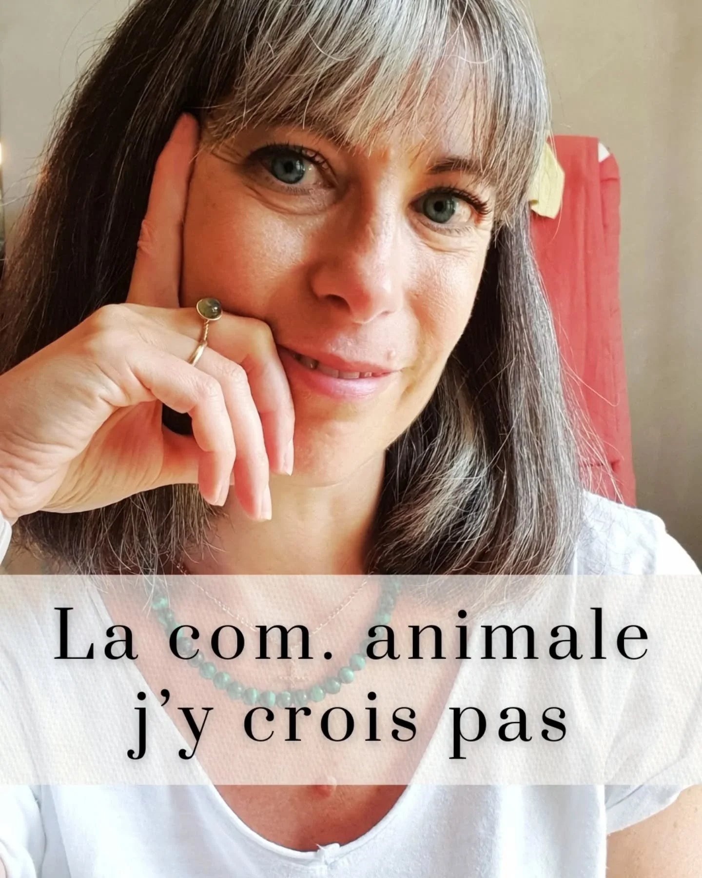 "La communication animale, j'y crois pas&hellip;" laisse-moi te montrer que &ccedil;a fonctionne.

Ke&iuml;ta est une jument que j'ai pr&eacute;par&eacute; pour son d&eacute;m&eacute;nagement dans sa nouvelle pension.

Lors de notre derni&e