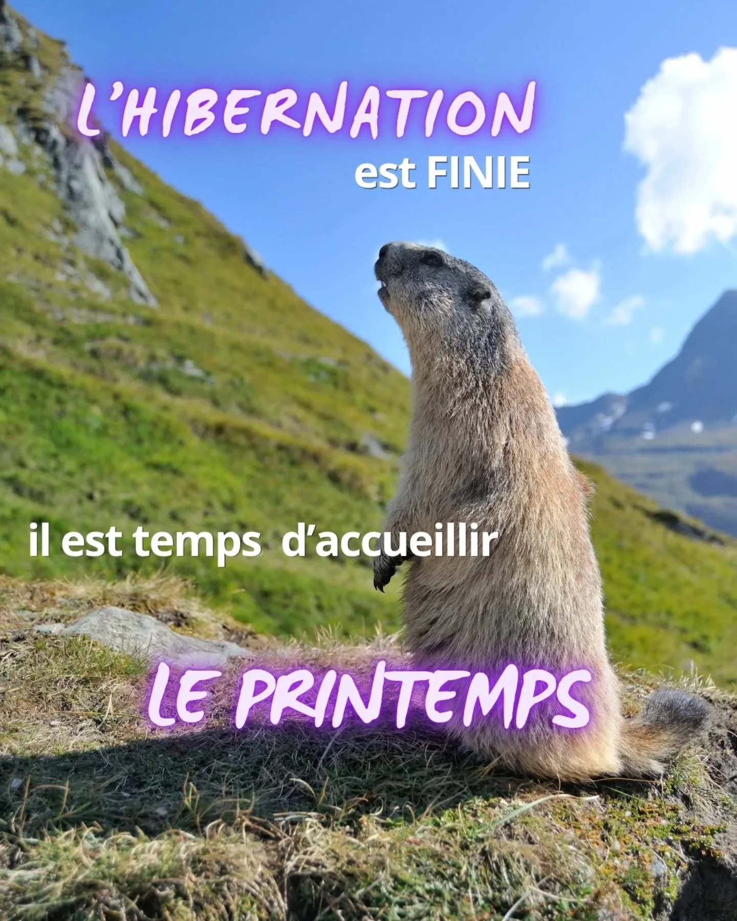 𝗧𝘂 𝗹𝗲 𝘀𝗲𝗻𝘀 𝘁𝗼𝗶 𝗮𝘂𝘀𝘀𝗶&hellip; ? 🌿

Ce petit frisson de renouveau&hellip;

Comme un appel &agrave; sortir de ta grotte, &agrave; respirer plus grand, &agrave; revenir &agrave; la vie 🌸

Mais en m&ecirc;me temps&hellip;
une partie de t