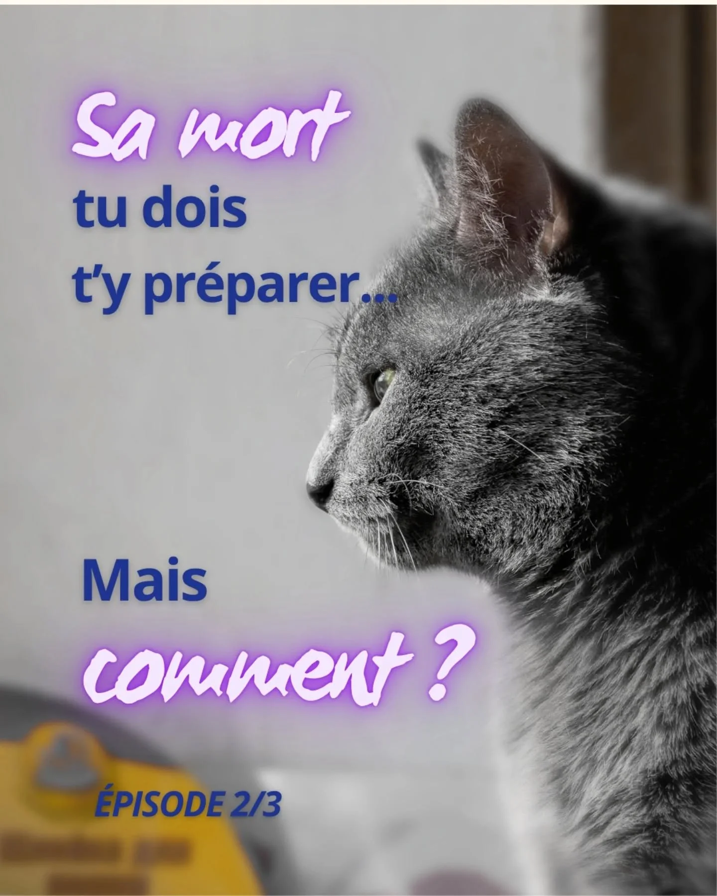 Il te regarde avec ses yeux doux.
Et toi tu est perdue. Tu sais que bient&ocirc;t il va laisser un vide immense dans ton c&oelig;ur ❤️&zwj;🩹

Depuis l'annonce du v&eacute;t&eacute;rinaire
votre vie est diff&eacute;rente.
Tu cherches des r&eacute;pon