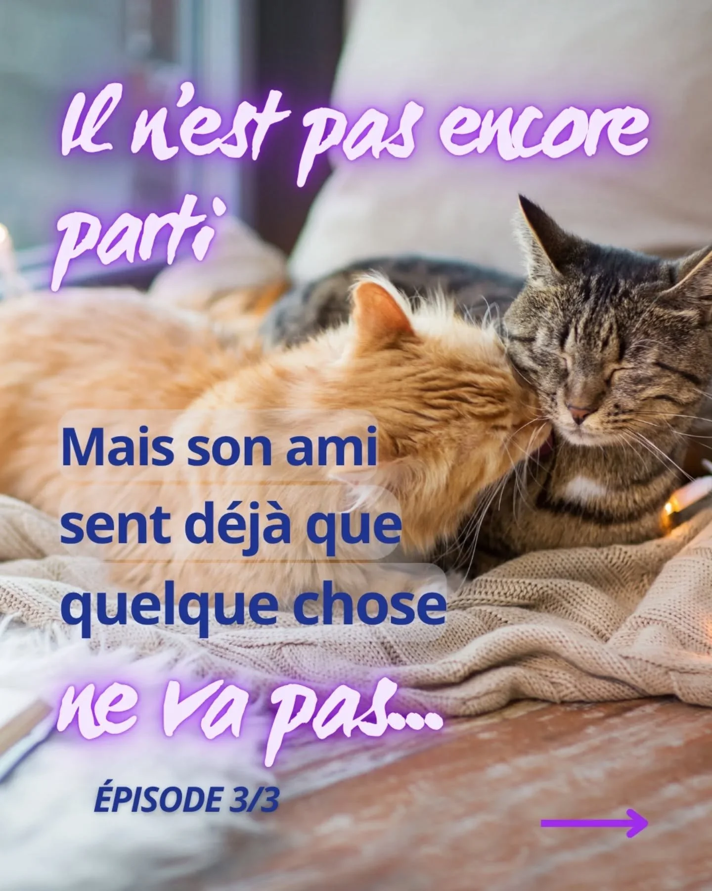 Tu croyais &ecirc;tre la seule &agrave; souffrir ❤️&zwj;🩹 

Mais tes autres animaux ressentent tout.
Ils m&eacute;ritent eux aussi d'&ecirc;tre accompagn&eacute;s 

&bull; pour comprendre, 
&bull; pour dire au revoir, 
&bull; pour ne pas rester dans