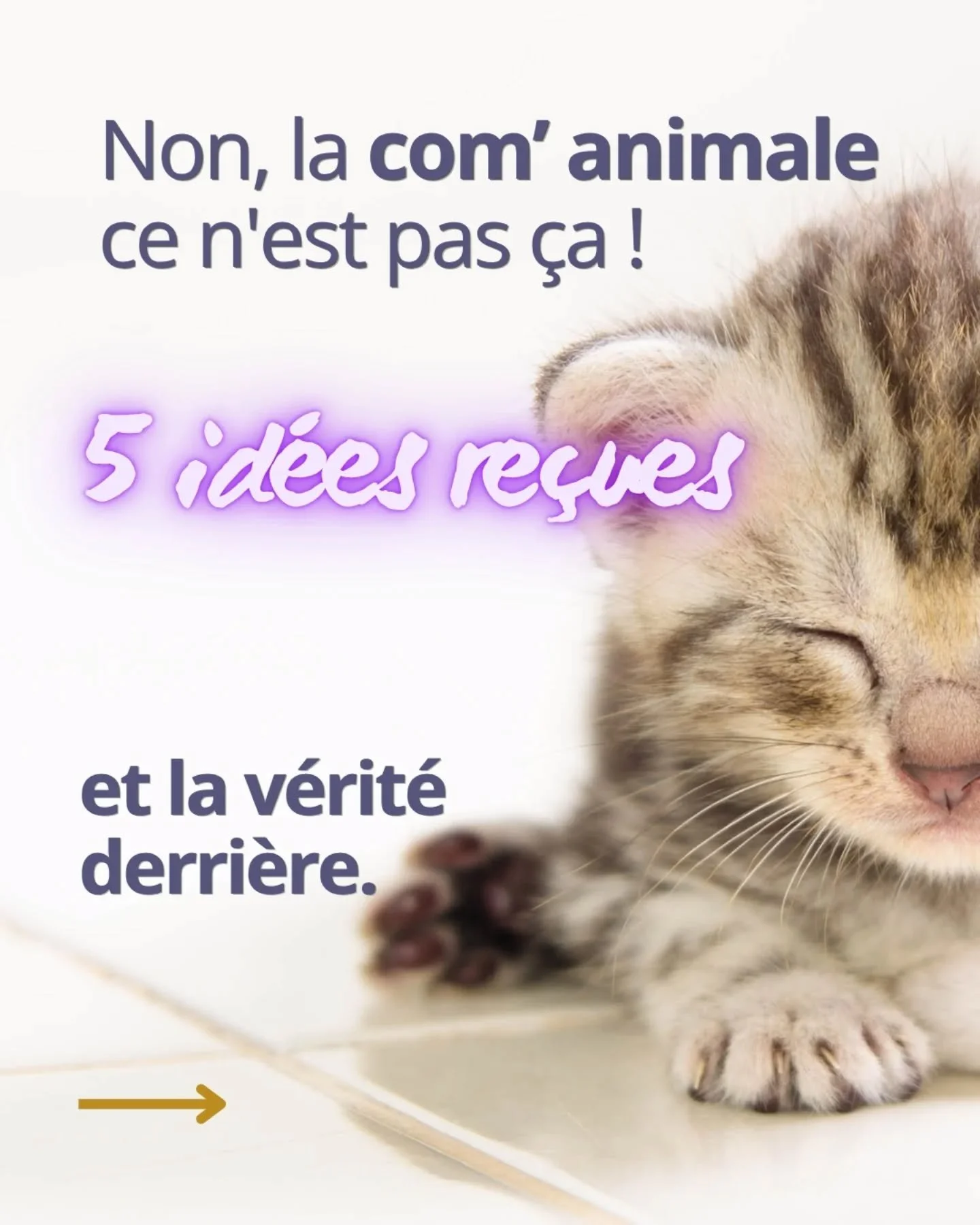 On me dit souvent : "𝑳𝒂 𝒄𝒐𝒎' 𝒂𝒏𝒊𝒎𝒂𝒍𝒆 𝒄'𝒆𝒔𝒕 𝒄𝒐𝒎𝒎𝒆 𝒍𝒆𝒔 𝒎𝒆́𝒅𝒊𝒖𝒎𝒔, 𝒏𝒐𝒏 ?"
Non. 

La 𝗰𝗼𝗺𝗺𝘂𝗻𝗶𝗰𝗮𝘁𝗶𝗼𝗻 𝗮𝗻𝗶𝗺𝗮𝗹𝗲 ce n'est pas lire dans une boule de cristal. 

Ce n'est pas non plus te dire ce que 
