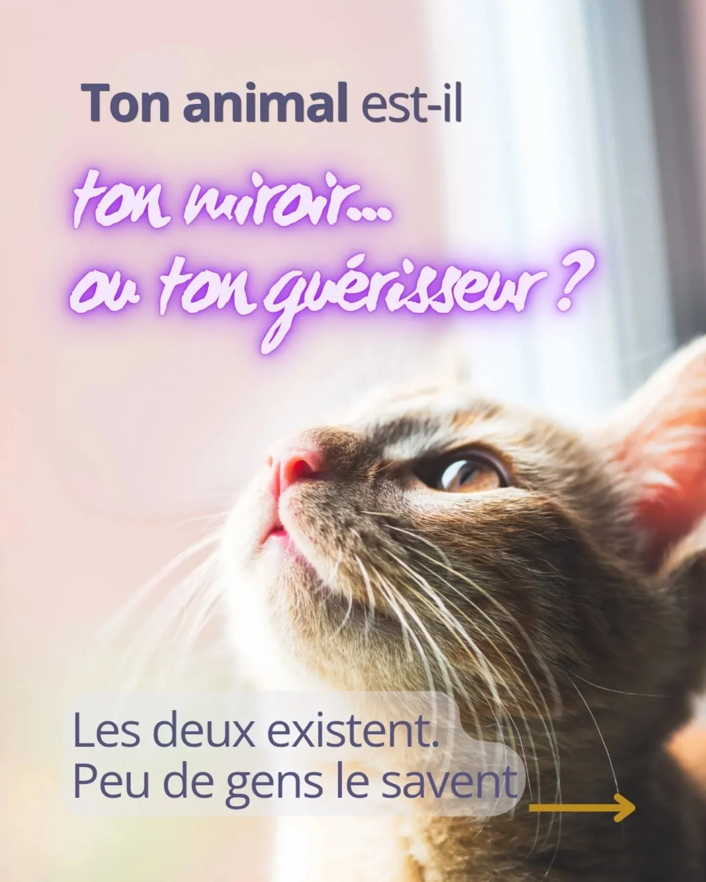 𝗘𝘀𝘁-𝗰𝗲 𝗾𝘂𝗲 𝘁𝘂 𝗰𝗼𝗻𝗻𝗮𝗶𝘀 𝘃𝗿𝗮𝗶𝗺𝗲𝗻𝘁 𝘁𝗼𝗻 𝗮𝗻𝗶𝗺𝗮𝗹 ? 

Pas juste ses habitudes, ses pr&eacute;f&eacute;rences, ce qu'il aime manger... 

Mais...
&bull; ce qu'il ressent. 
&bull; Ce qu'il porte. 
&bull; Ce qu'il fait pour toi 