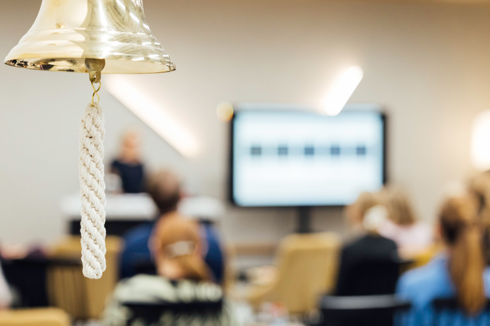 We are launching: The Nordic Board Programme
