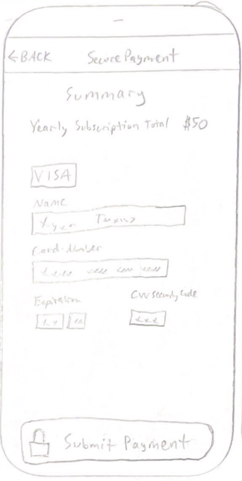16 Upgrade to premium summary submit secure payment page.PNG
