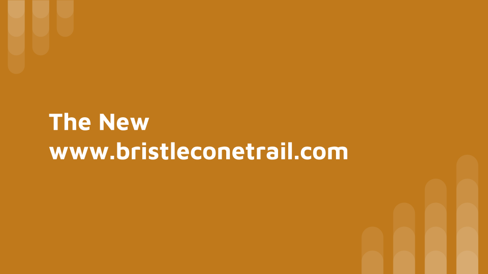 13 Design Process _ BTP Web Redesign.png