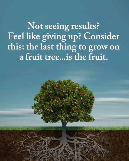 Last thing to grow on a fruit tree is the fruit.PNG