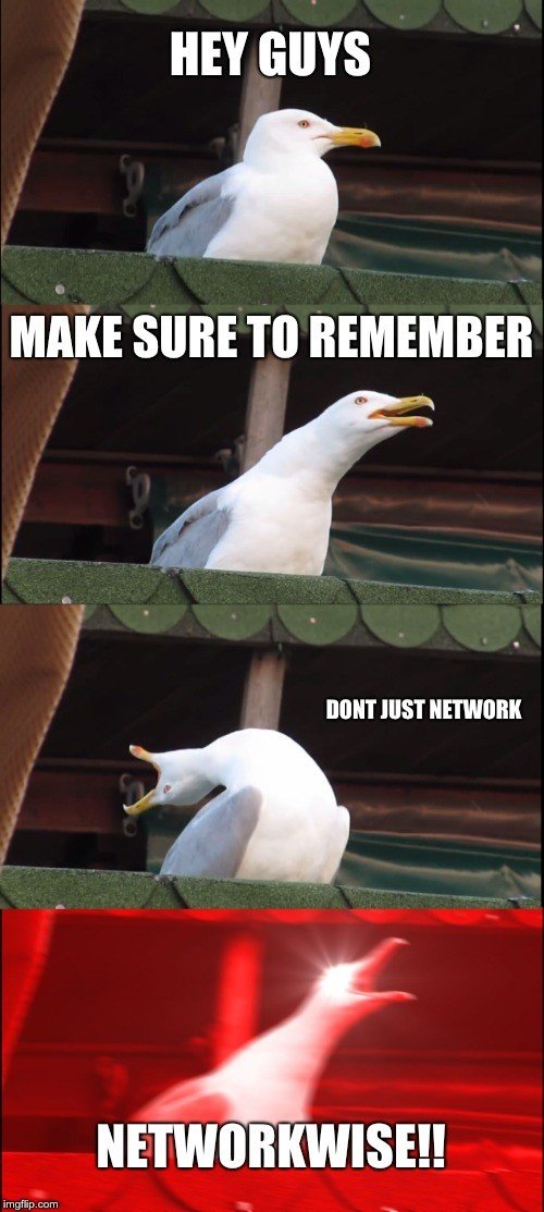 NetWorkWise.jpg