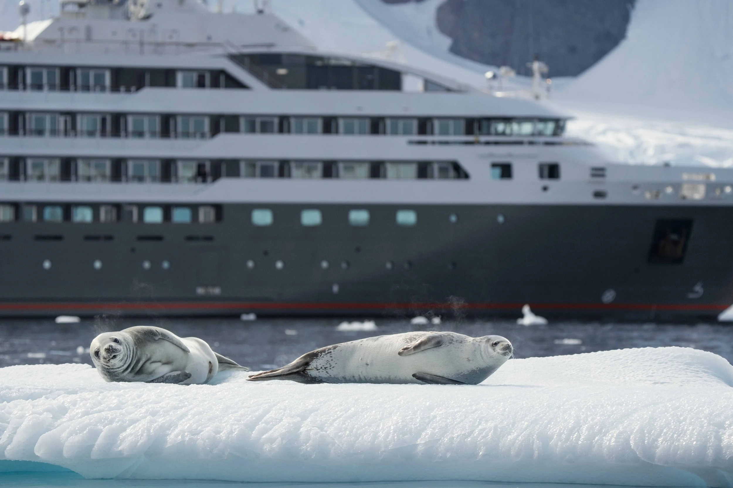Ushuaia ©StudioPonant-Soizic-Roux