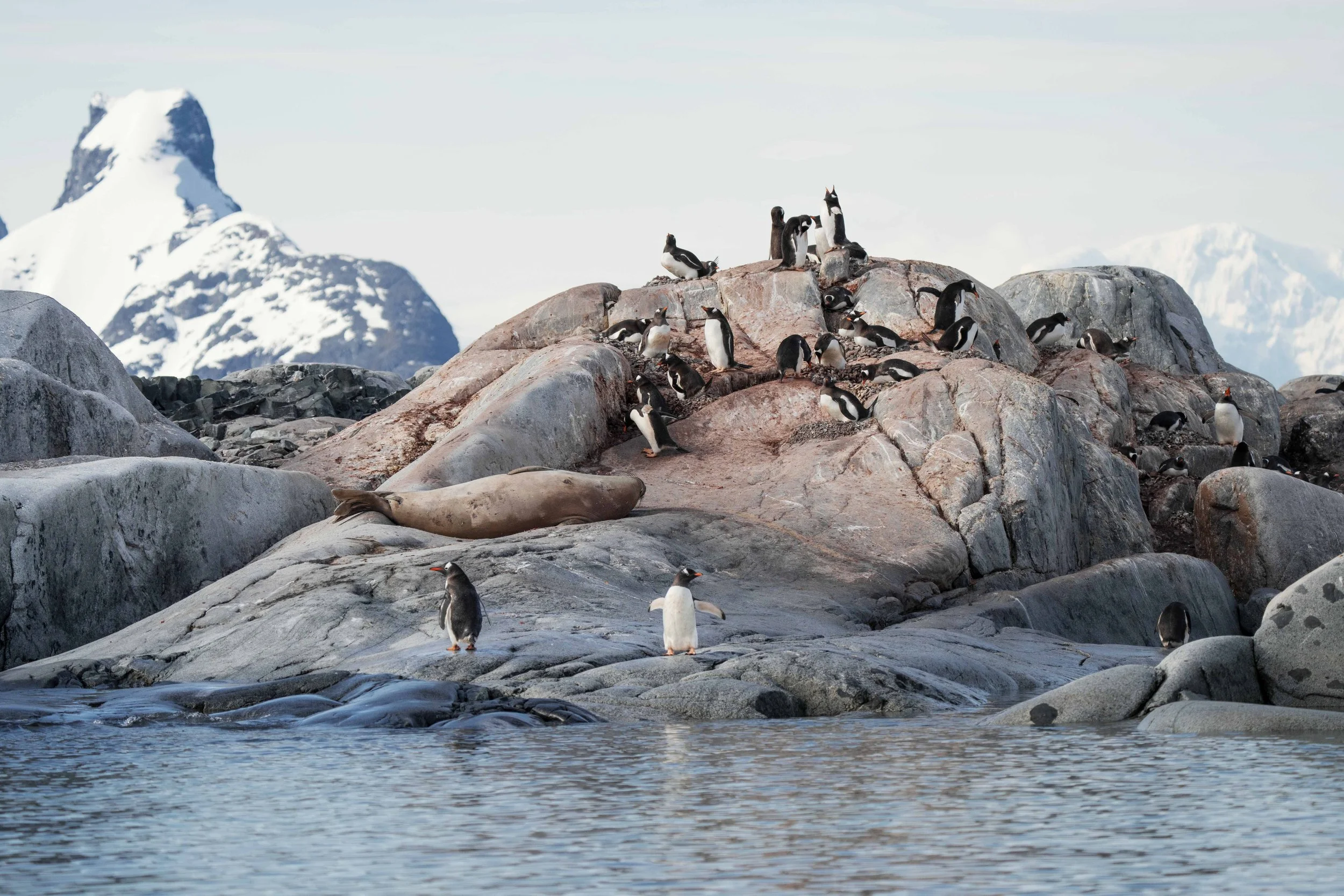 Ushuaia ©StudioPonant-Soizic-Roux