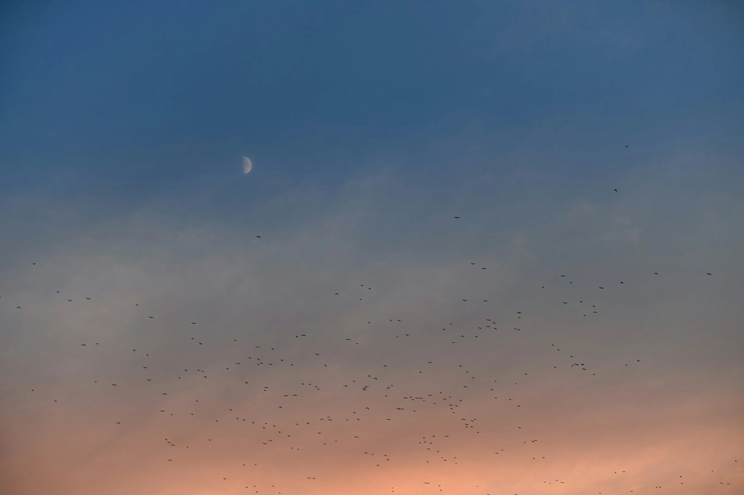 How Easy the Cold Sky