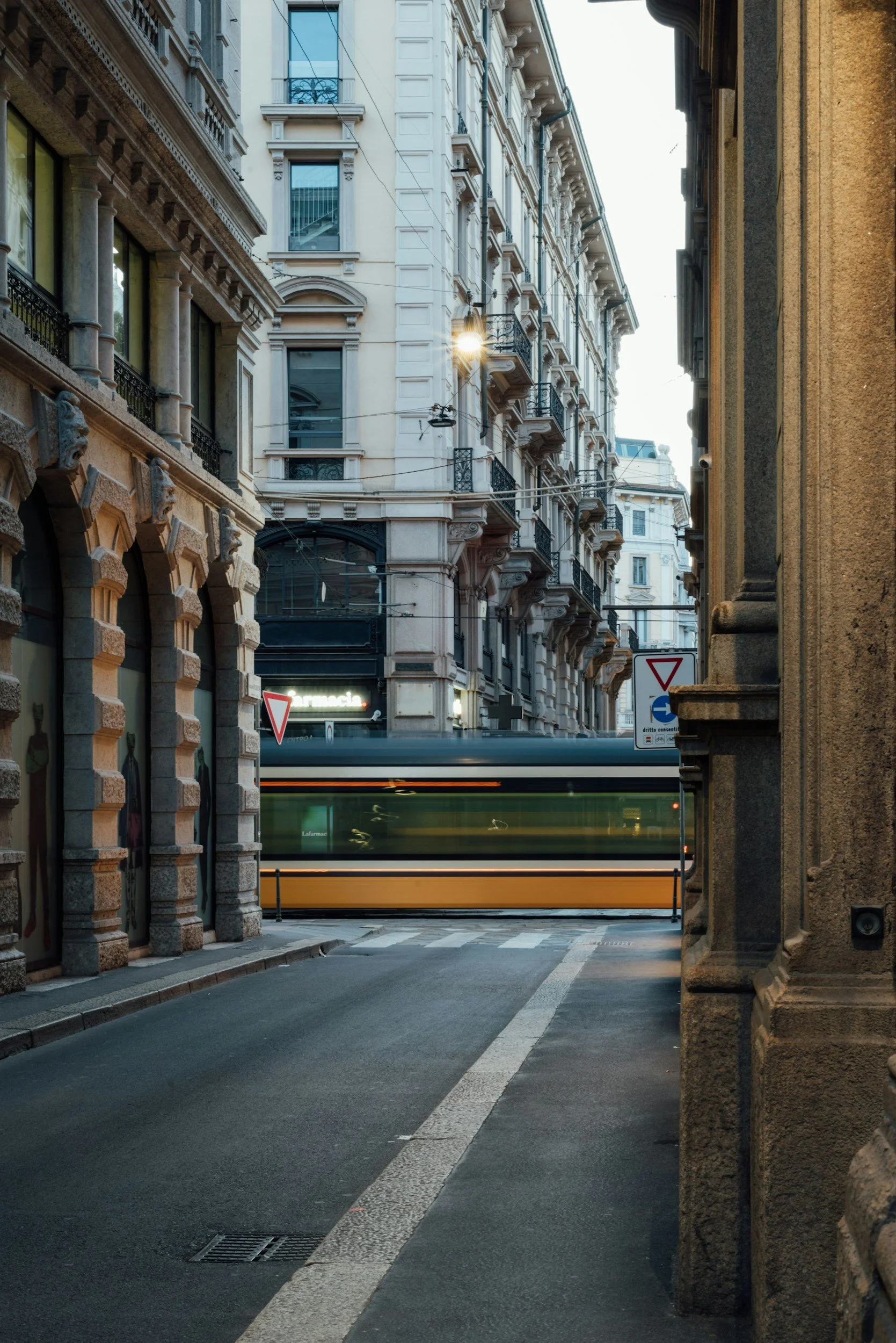 Sadie Takes the Window Seat