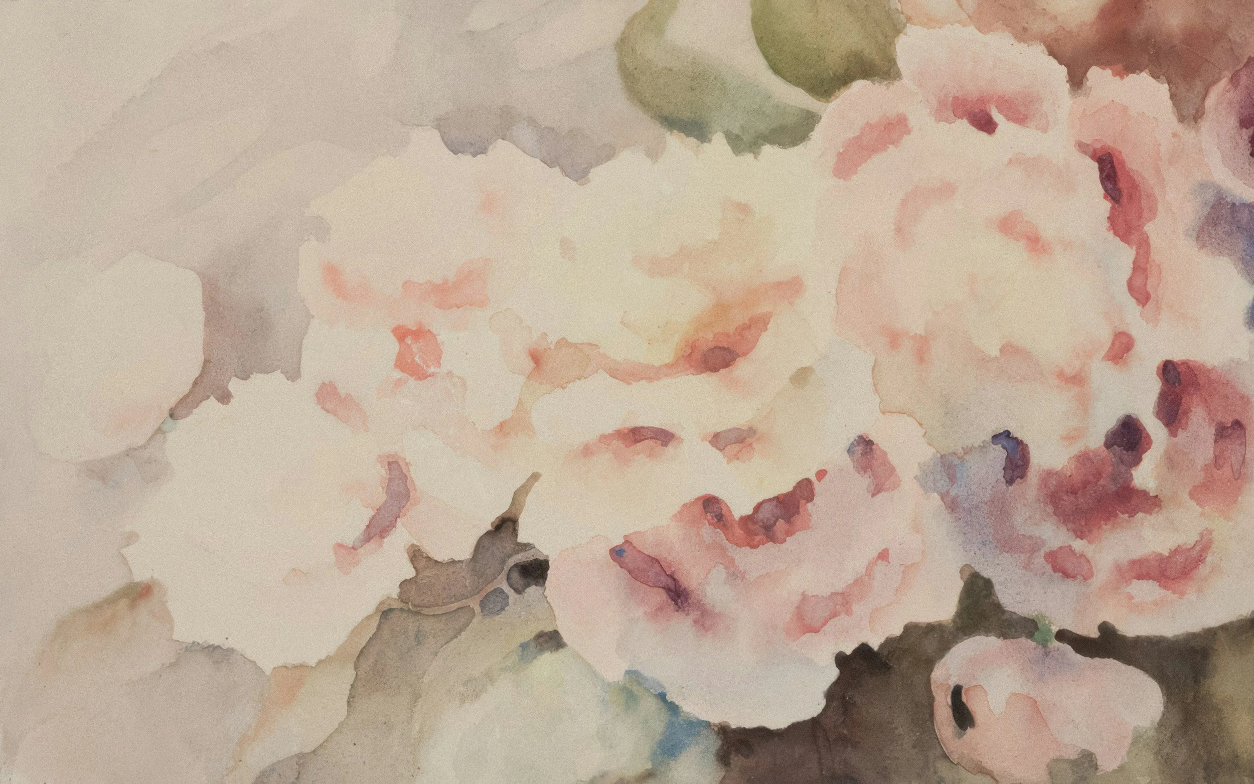 On the Matter of Rose&nbsp;