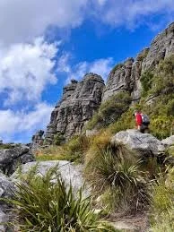 Nursery Ravine (Kirstenbosch)