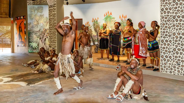 ZULU CULTURAL TRADITIONS visual data 8