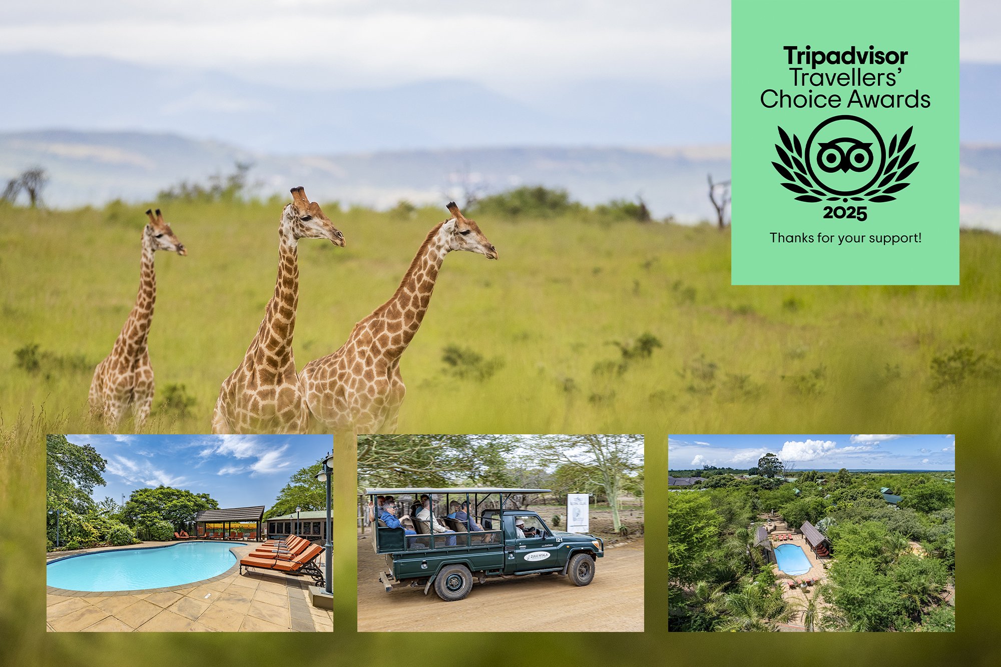 Zulu Nyala Wins 2025 TripAdvisor Travellers’ Choice Award