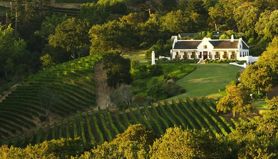Constantia Glen (Wine Farm In The City)