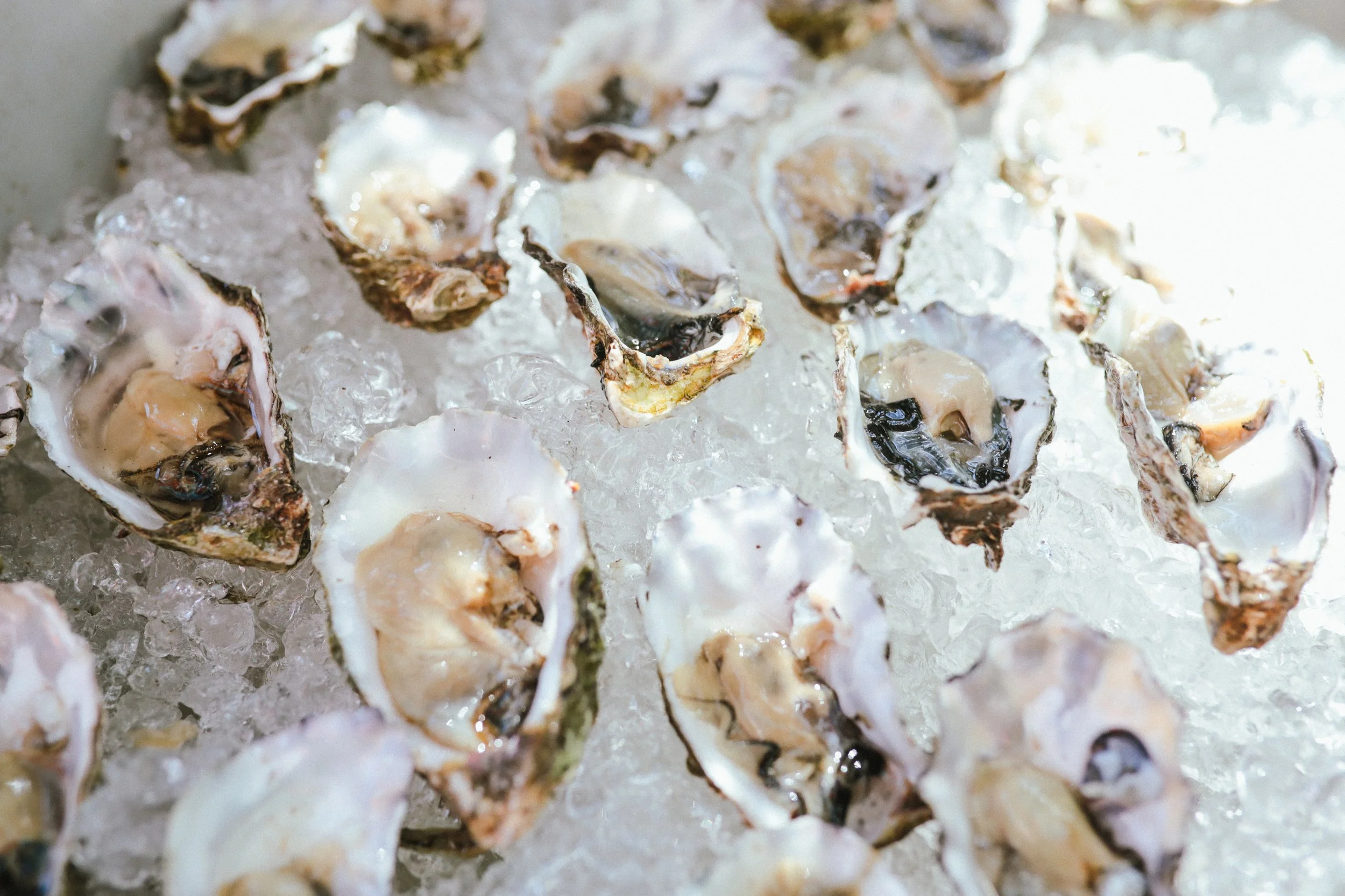  ITGWO25_30'08_Food&Cateraars_ Calluna Denkers-074.jpg