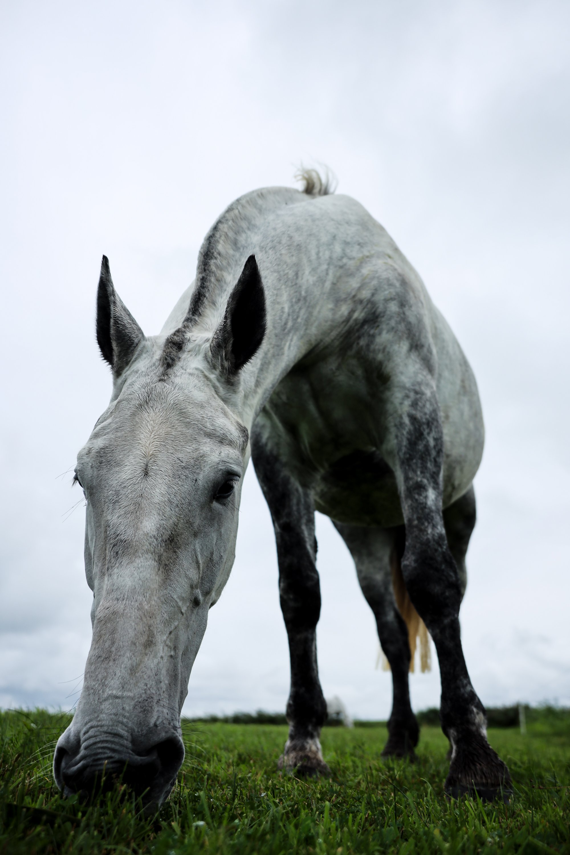 Springtij23_Calluna Denkers-13.jpg