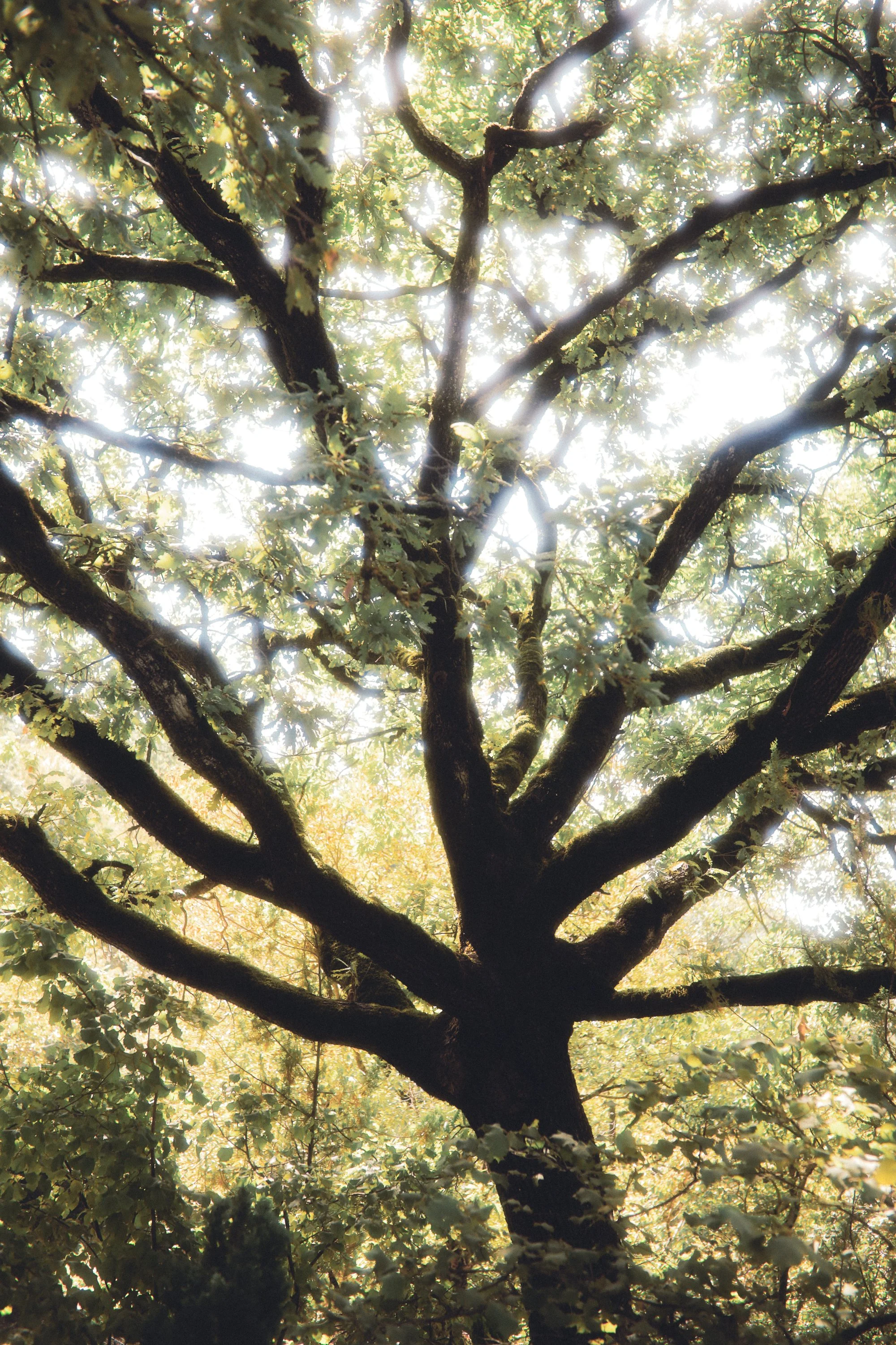 Italie_Calluna Denkers-07.jpg