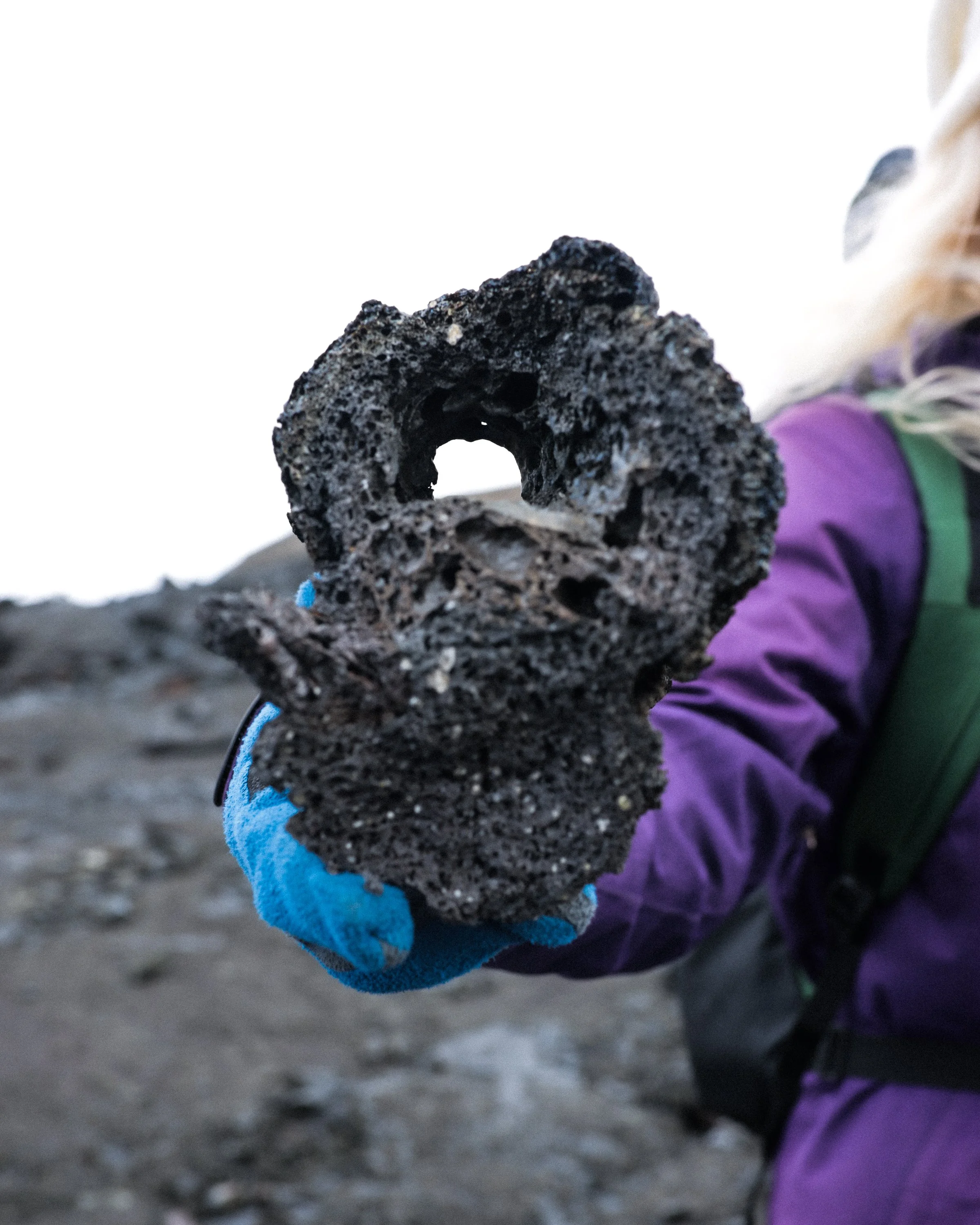 Ijsland24_Calluna Denkers-20.jpg