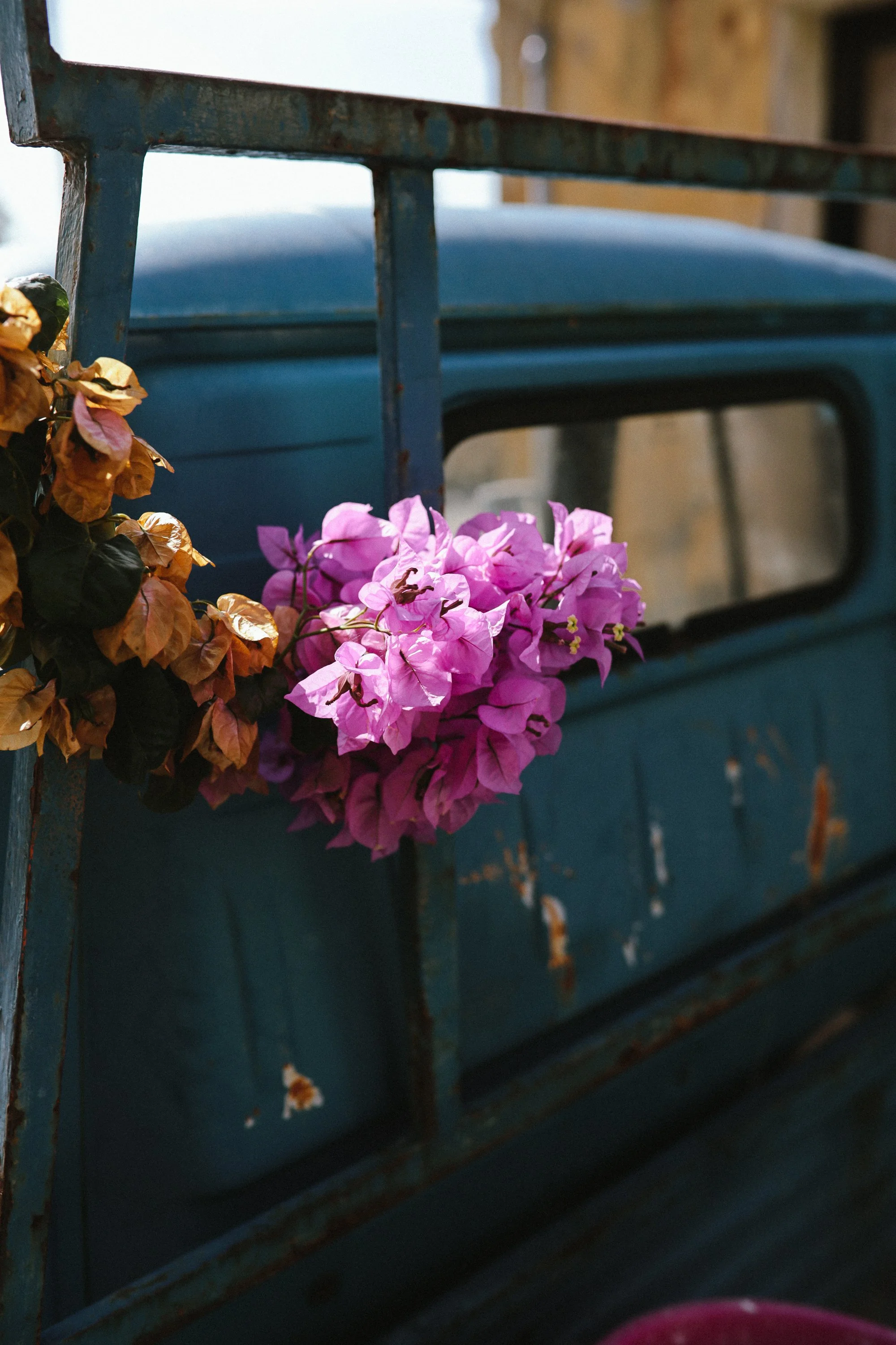 Italie_Calluna Denkers-12.jpg