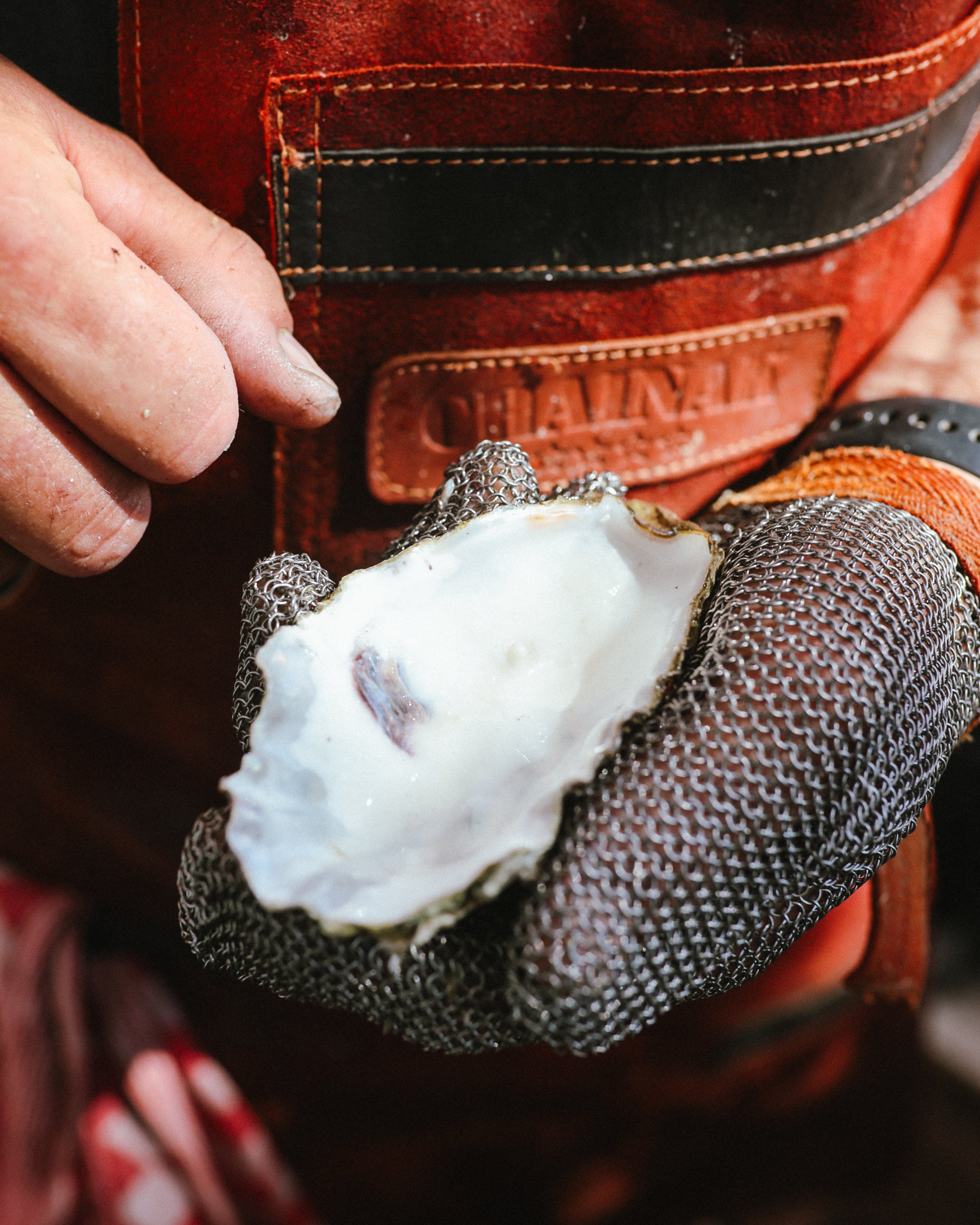  ITGWO25_30-08_Food_ Calluna Denkers-06.jpg