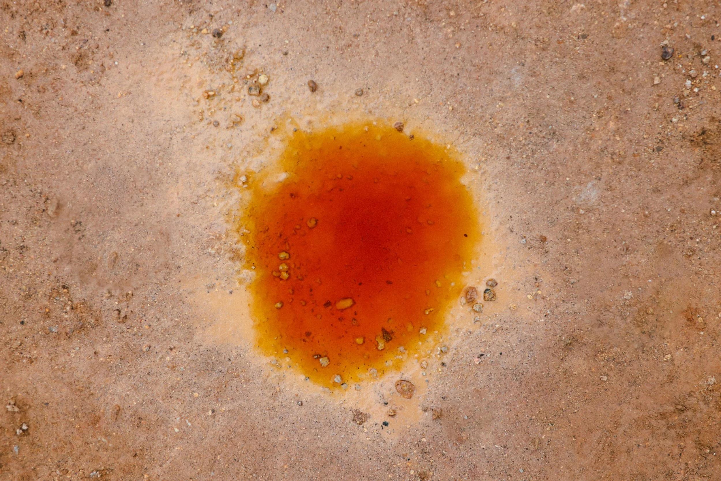 Ijsland24_Calluna Denkers-32.jpg