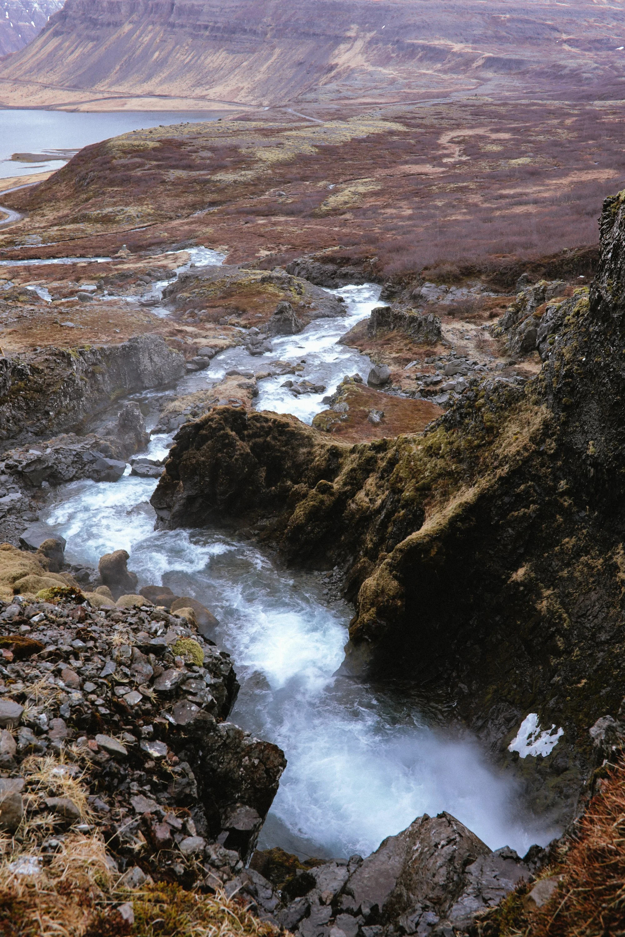 Ijsland24_Calluna Denkers-14.jpg