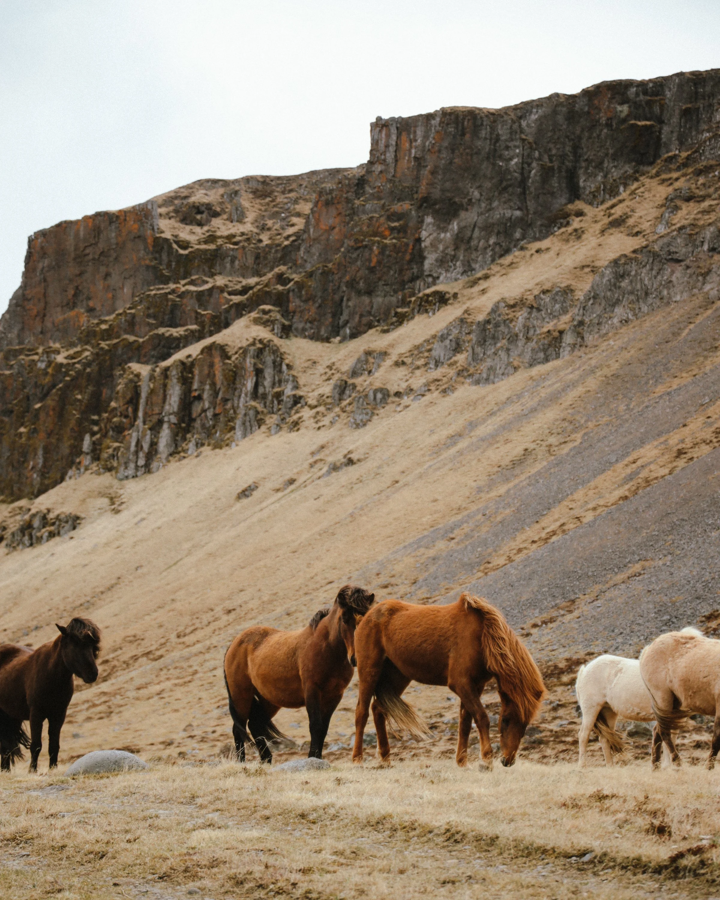 Ijsland24_Calluna Denkers-18.jpg