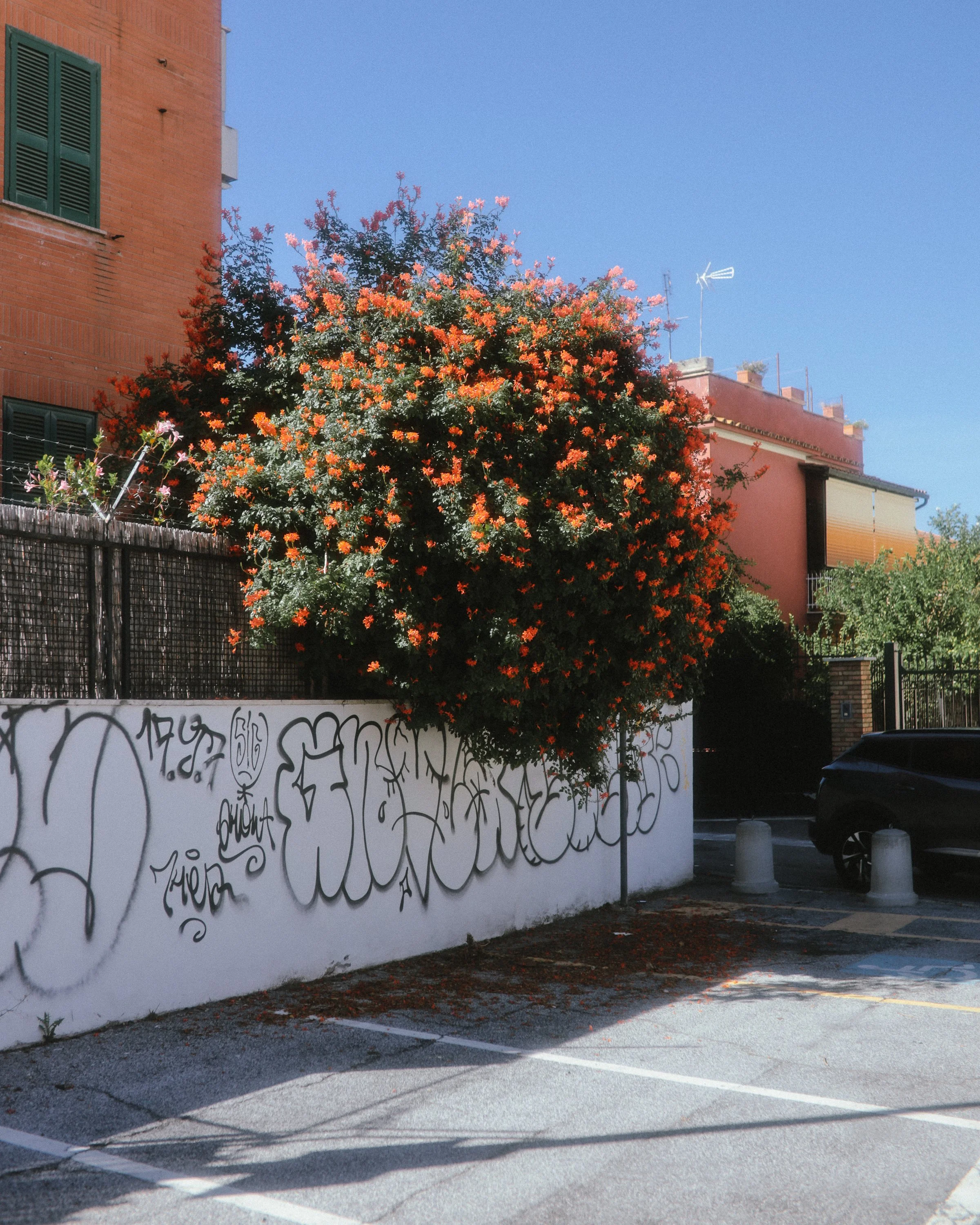 Italie_Calluna Denkers-22.jpg