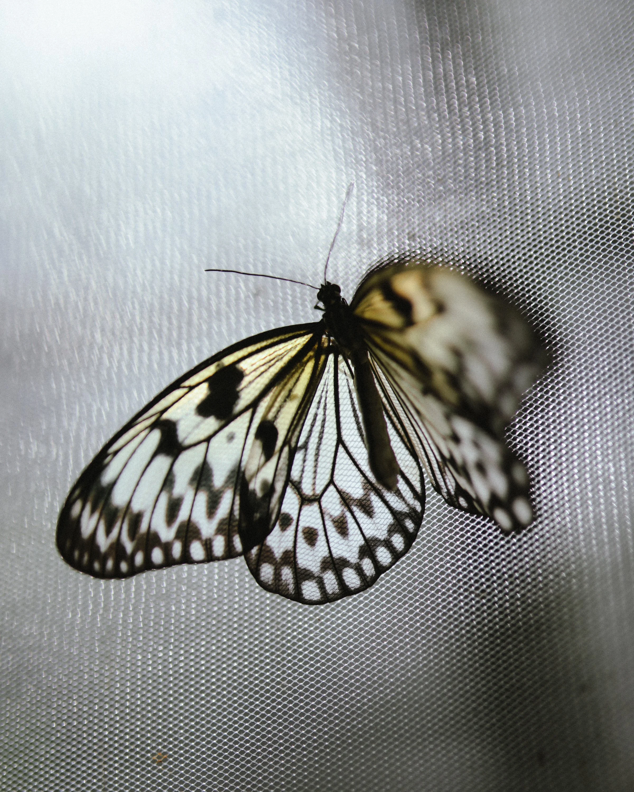 Italie_Calluna Denkers-03.jpg