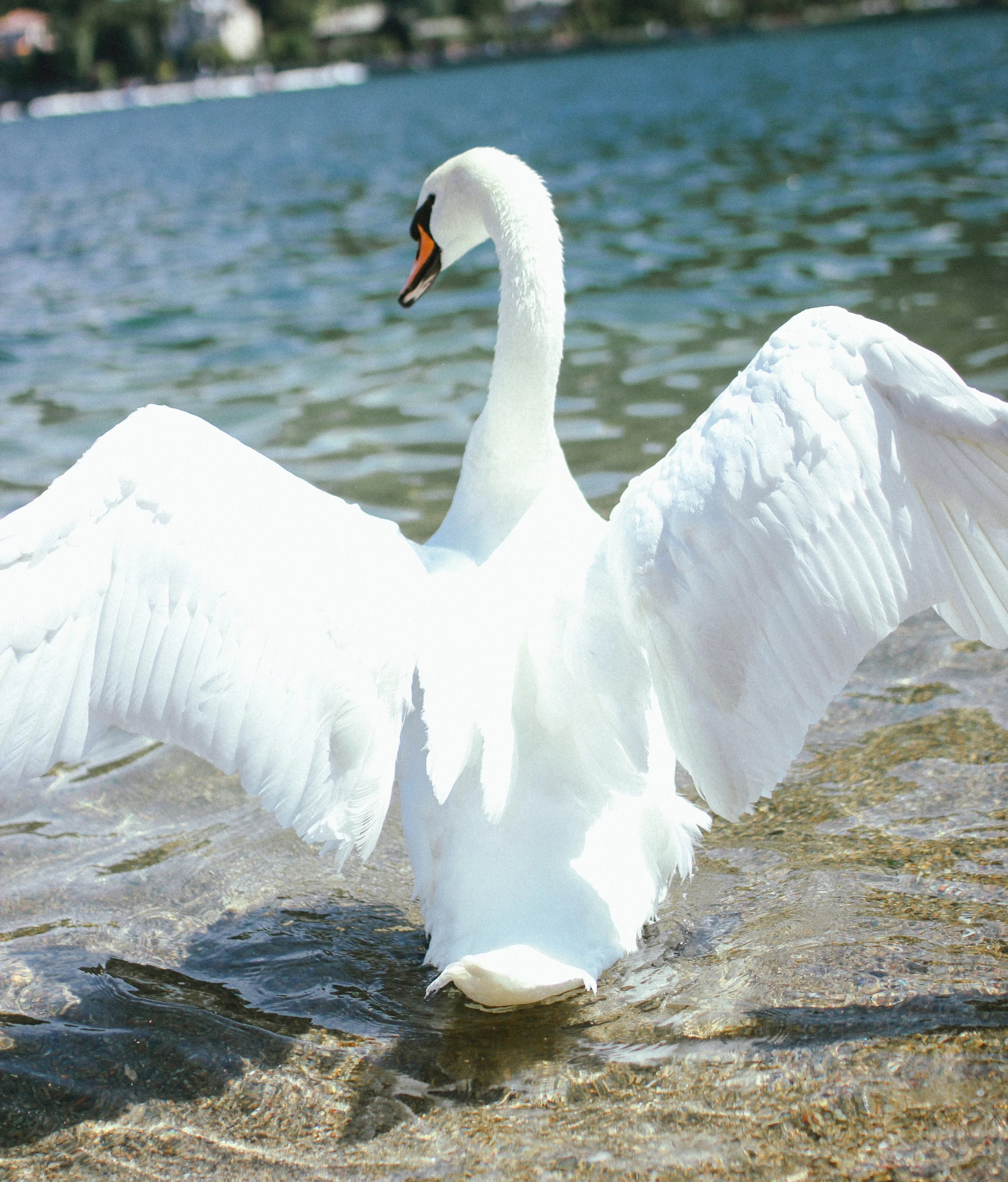 Italie_Calluna Denkers-26.jpg