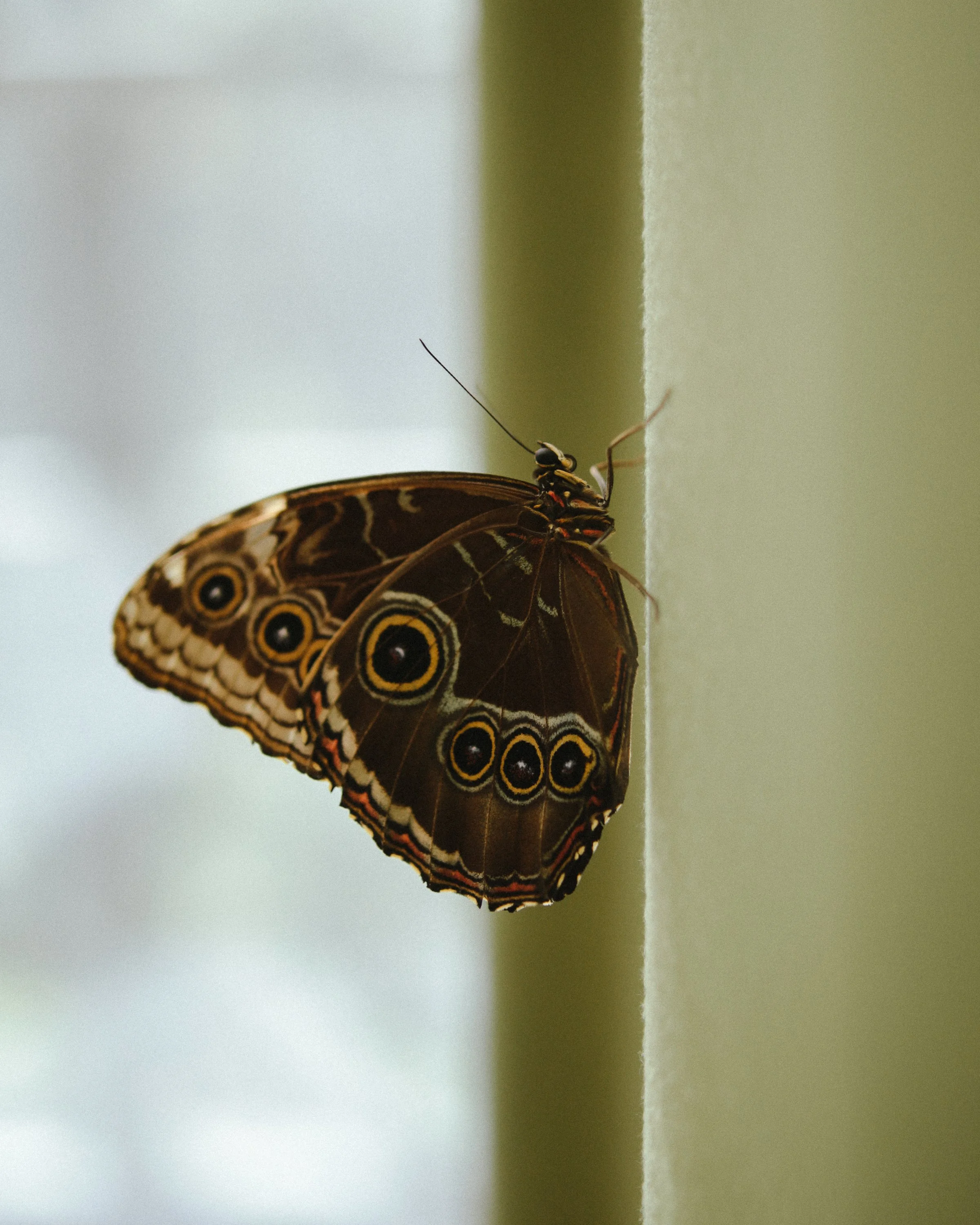 Italie_Calluna Denkers-02.jpg