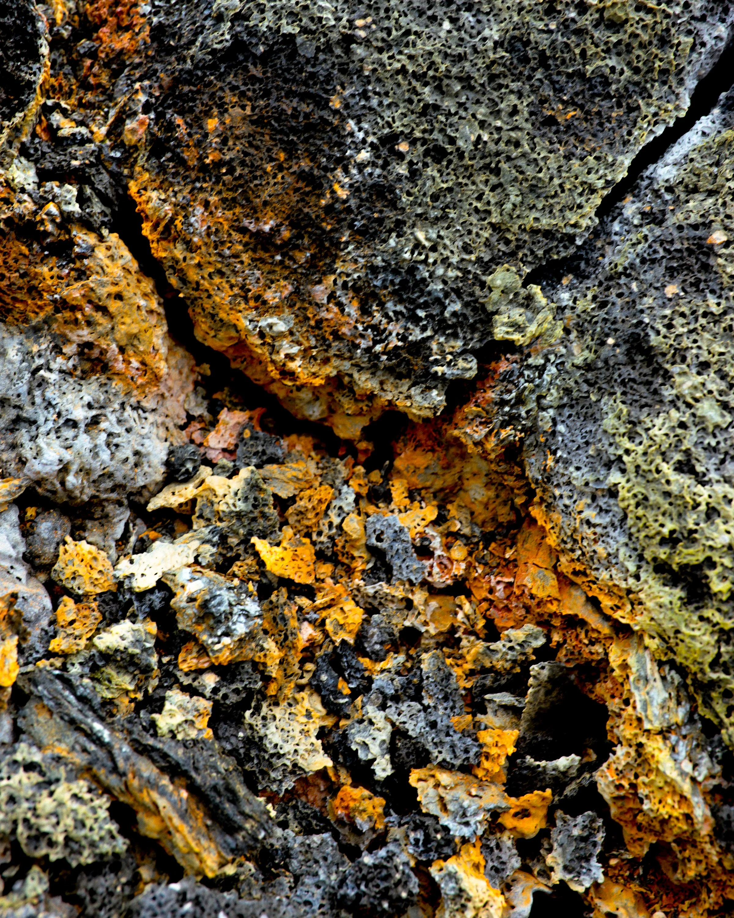 Ijsland24_Calluna Denkers-21.jpg