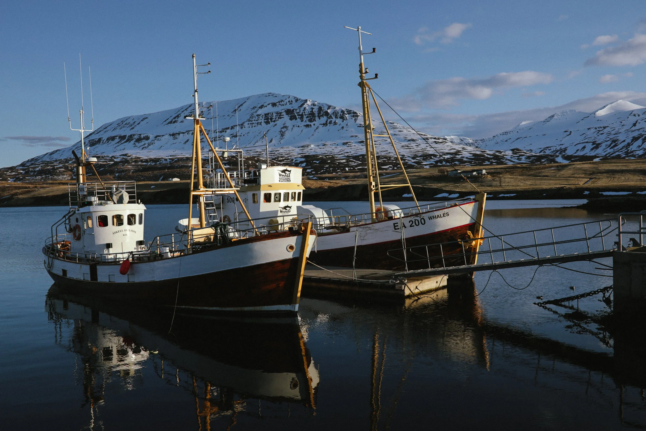 Ijsland24_Calluna Denkers-08.jpg