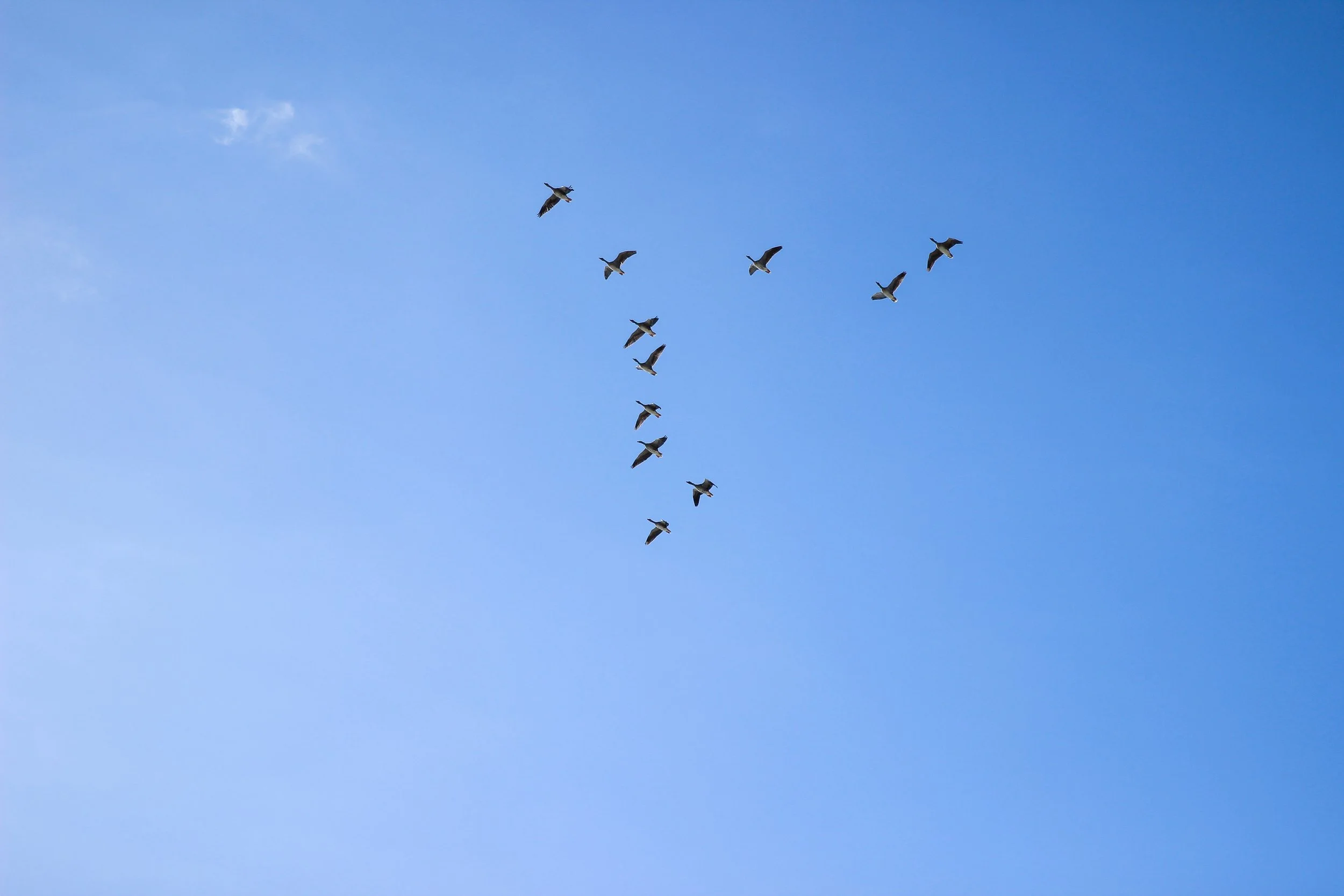 Springtij23_Calluna Denkers-44.jpg