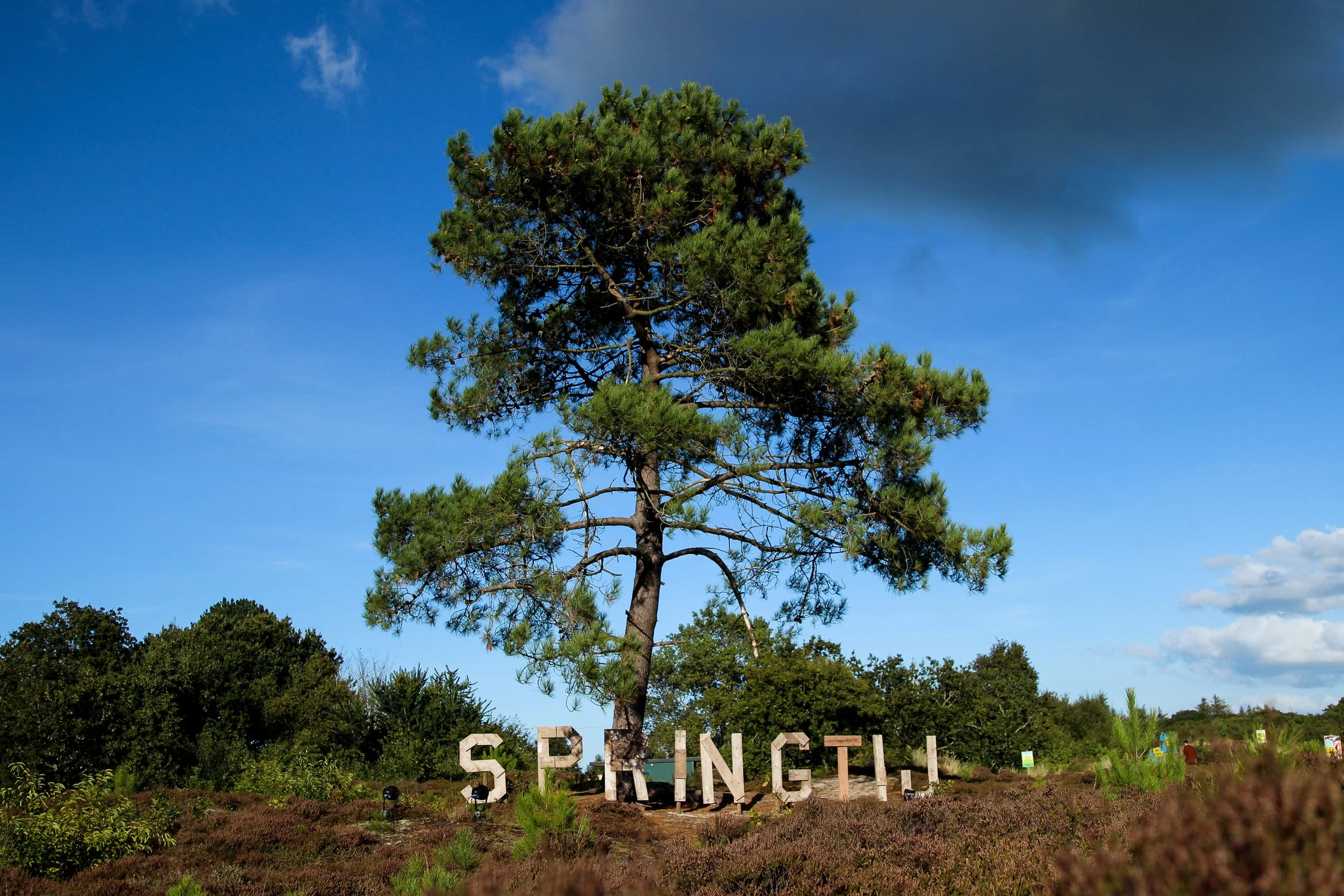 Springtij23_Calluna Denkers-49.jpg