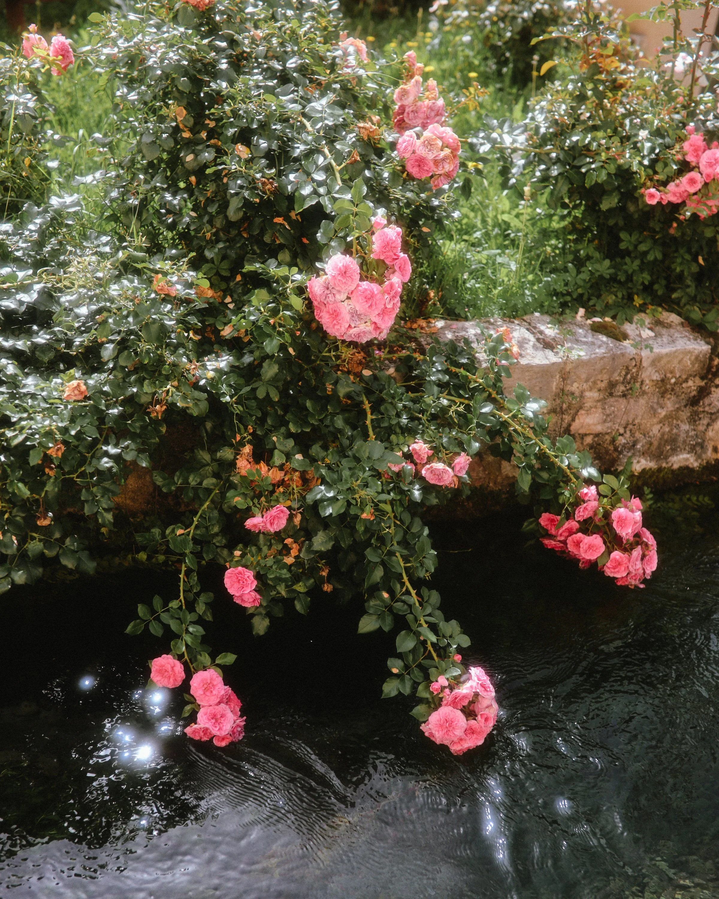 Italie_Calluna Denkers-04.jpg