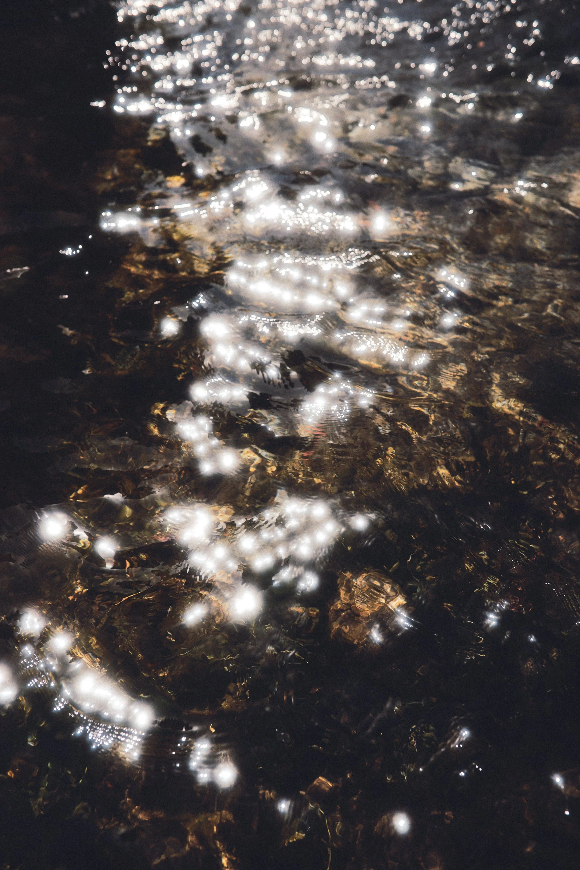 Italie_Calluna Denkers-06.jpg