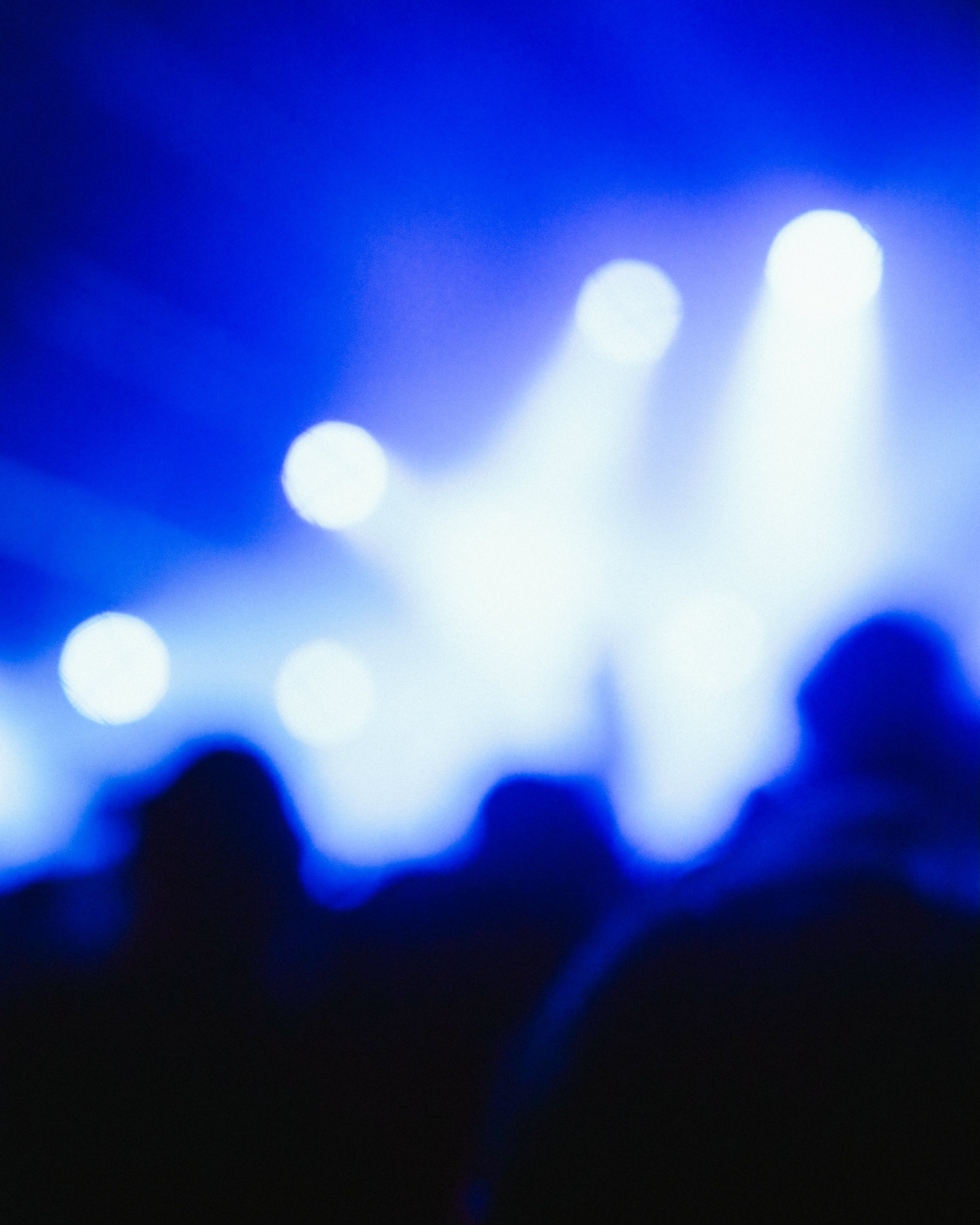  ITGWO25_29-08_Shame_ Calluna Denkers-3.jpg