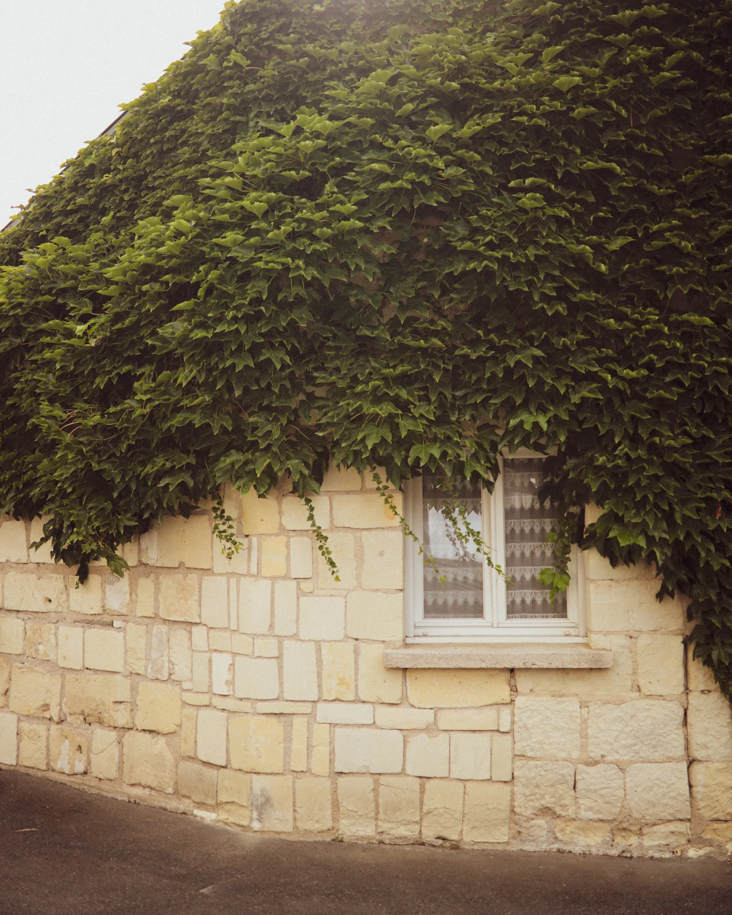 frankrijk24_Calluna Denkers-08.jpg