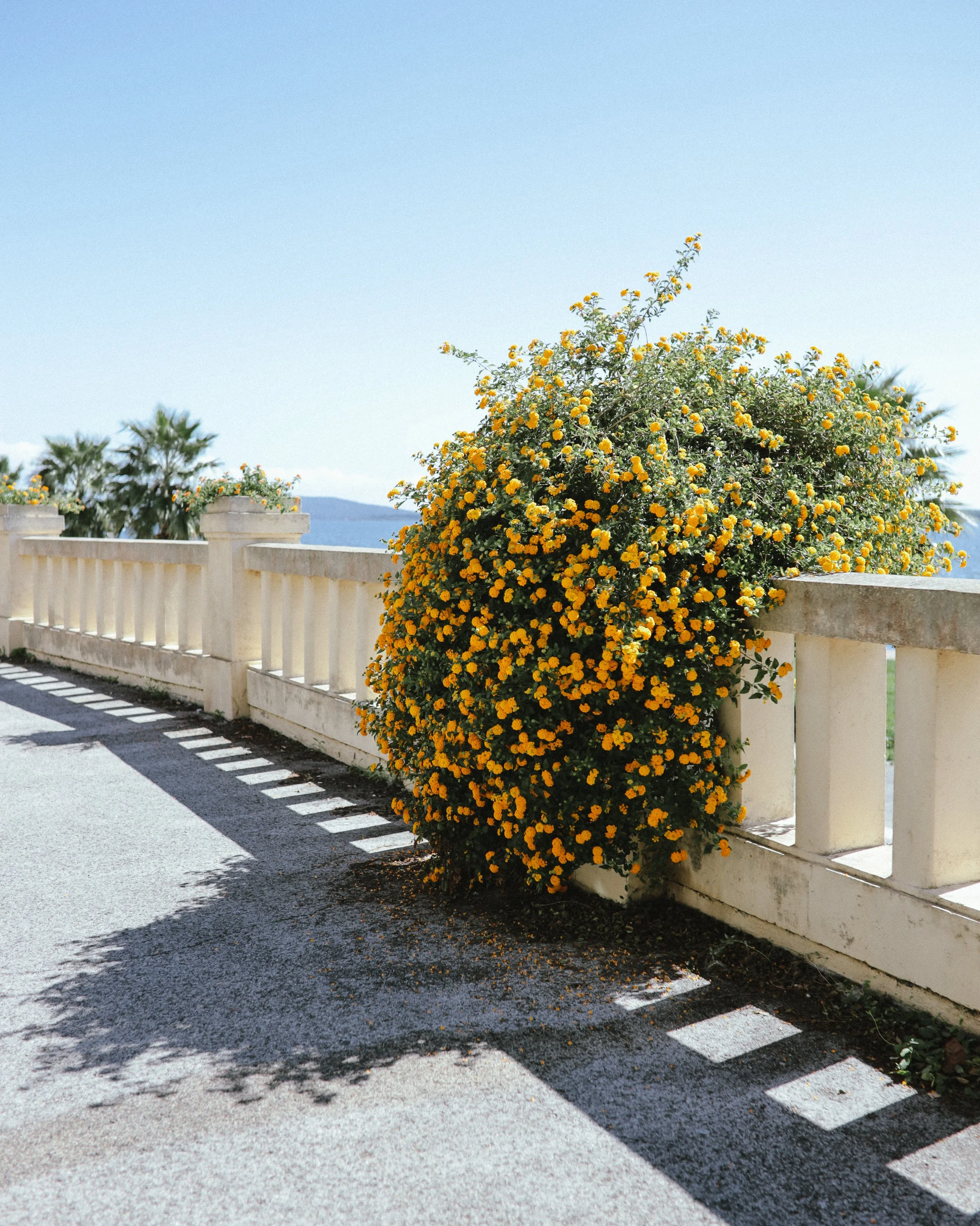 Italie_Calluna Denkers-16.jpg